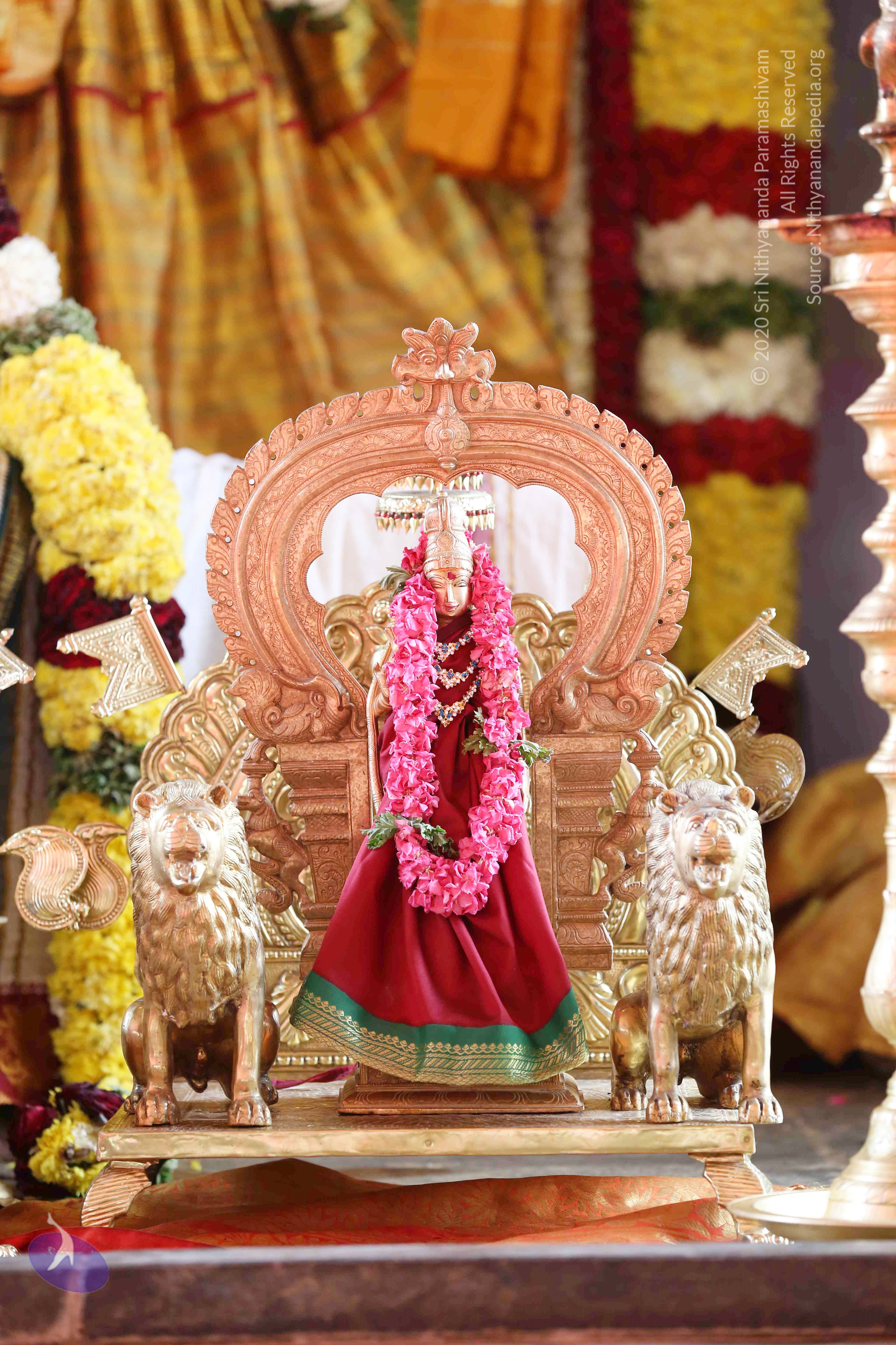 20161210_Photo_1001_IMGL2924_CMP_WM