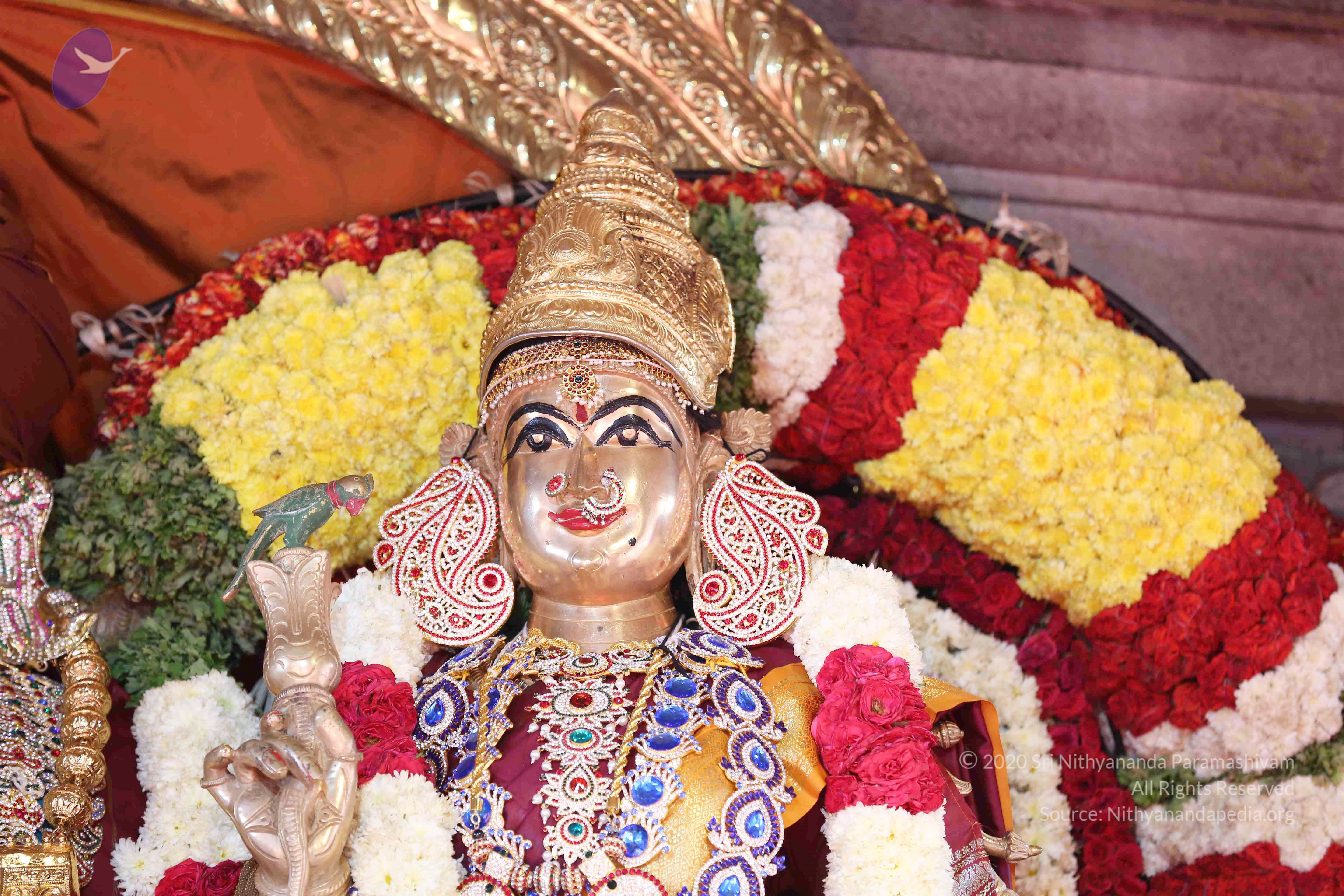 20161210_Photo_1003_IMGL2935_CMP_WM