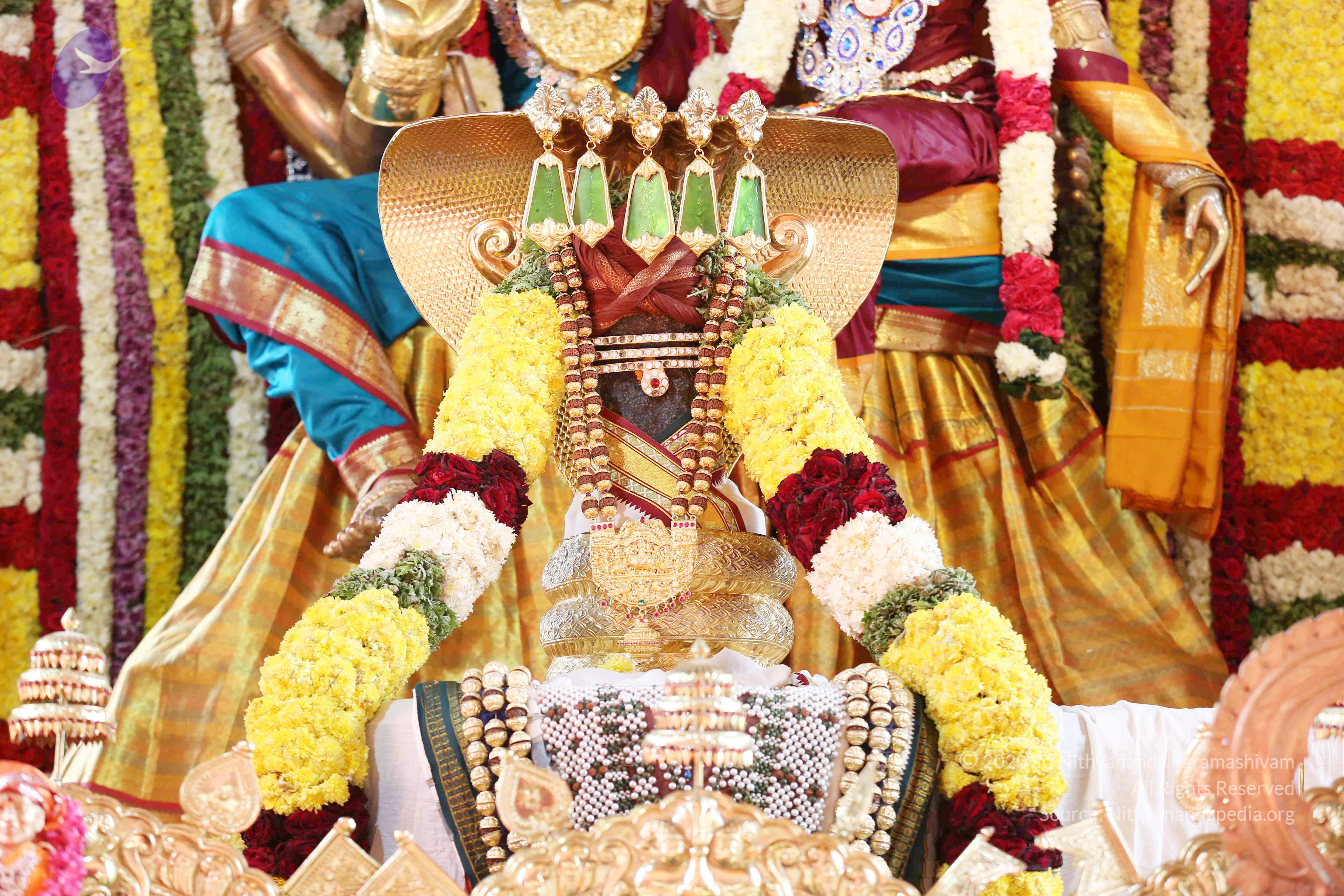 20161210_Photo_1004_IMGL2930_CMP_WM