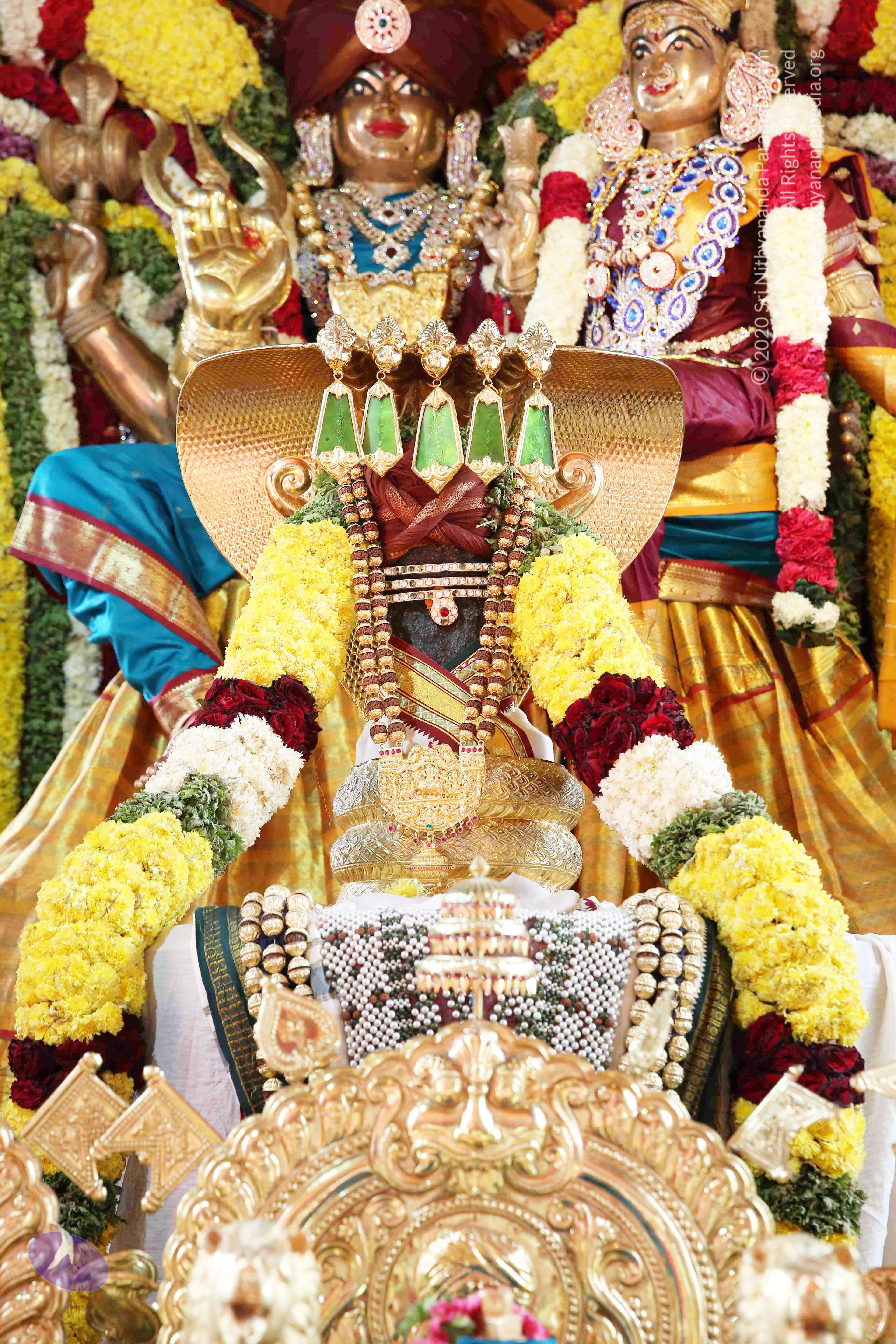 20161210_Photo_1005_IMGL2907_CMP_WM