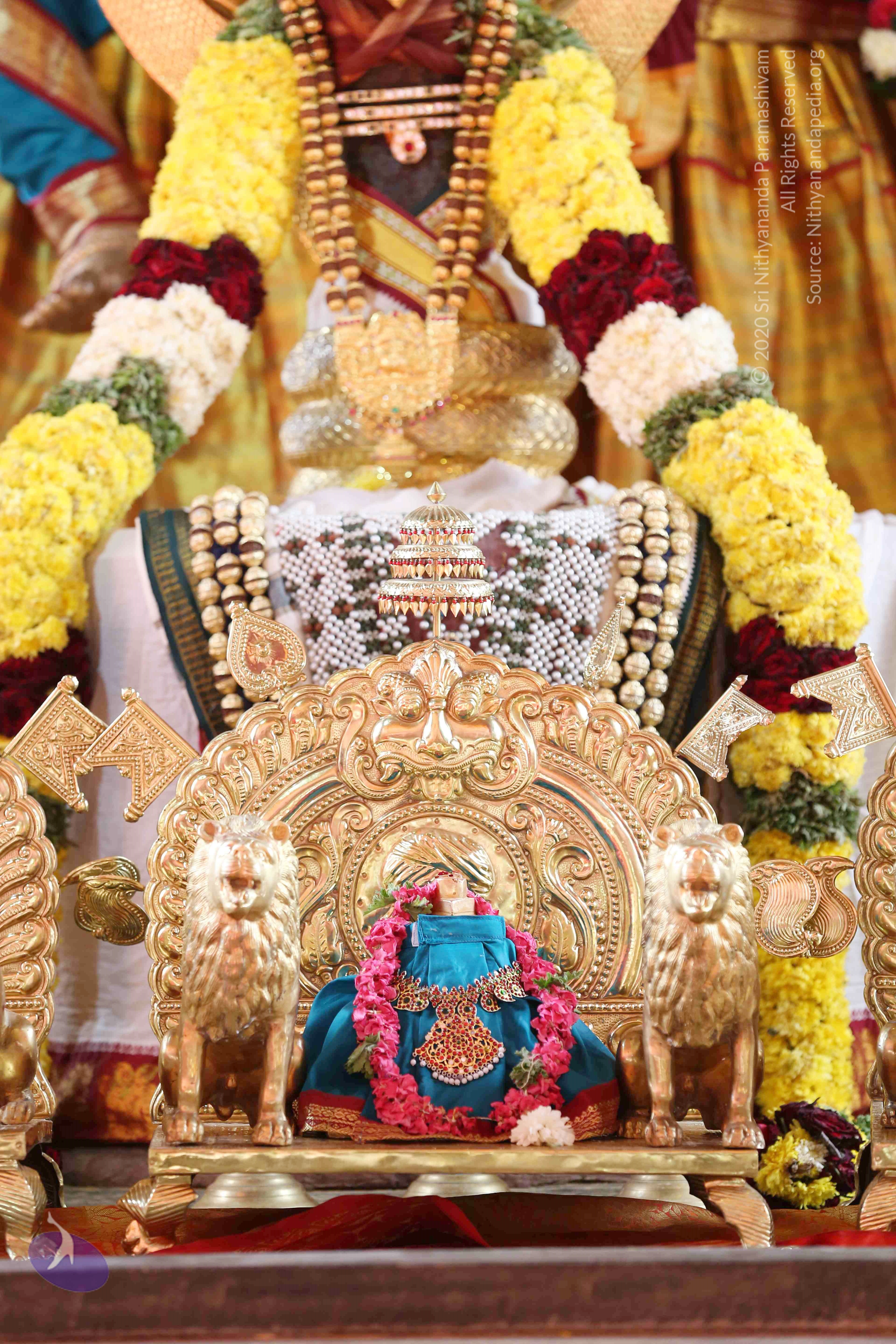 20161210_Photo_1007_IMGL2921_CMP_WM