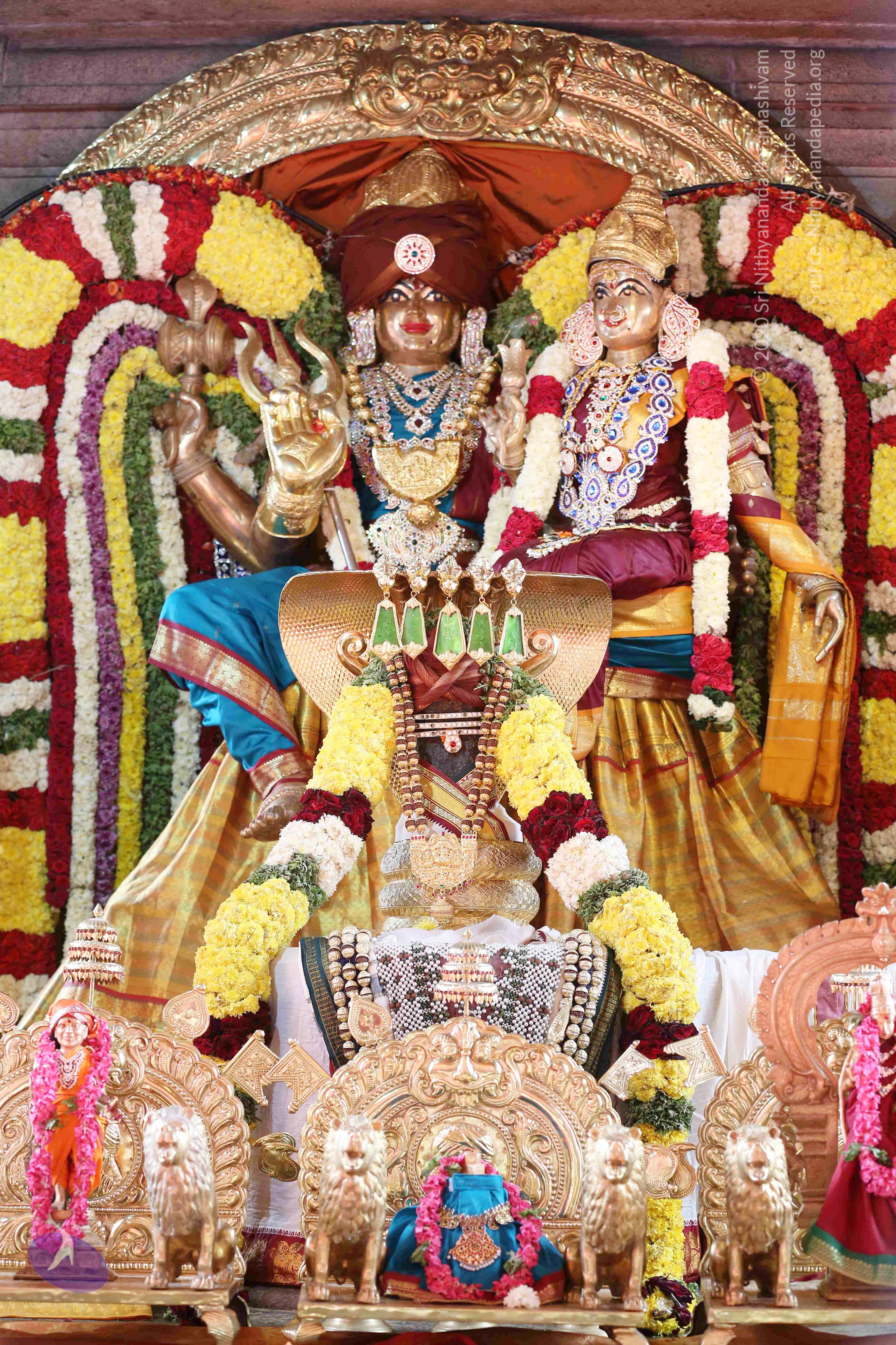 20161210_Photo_1013_IMGL2932_CMP_WM