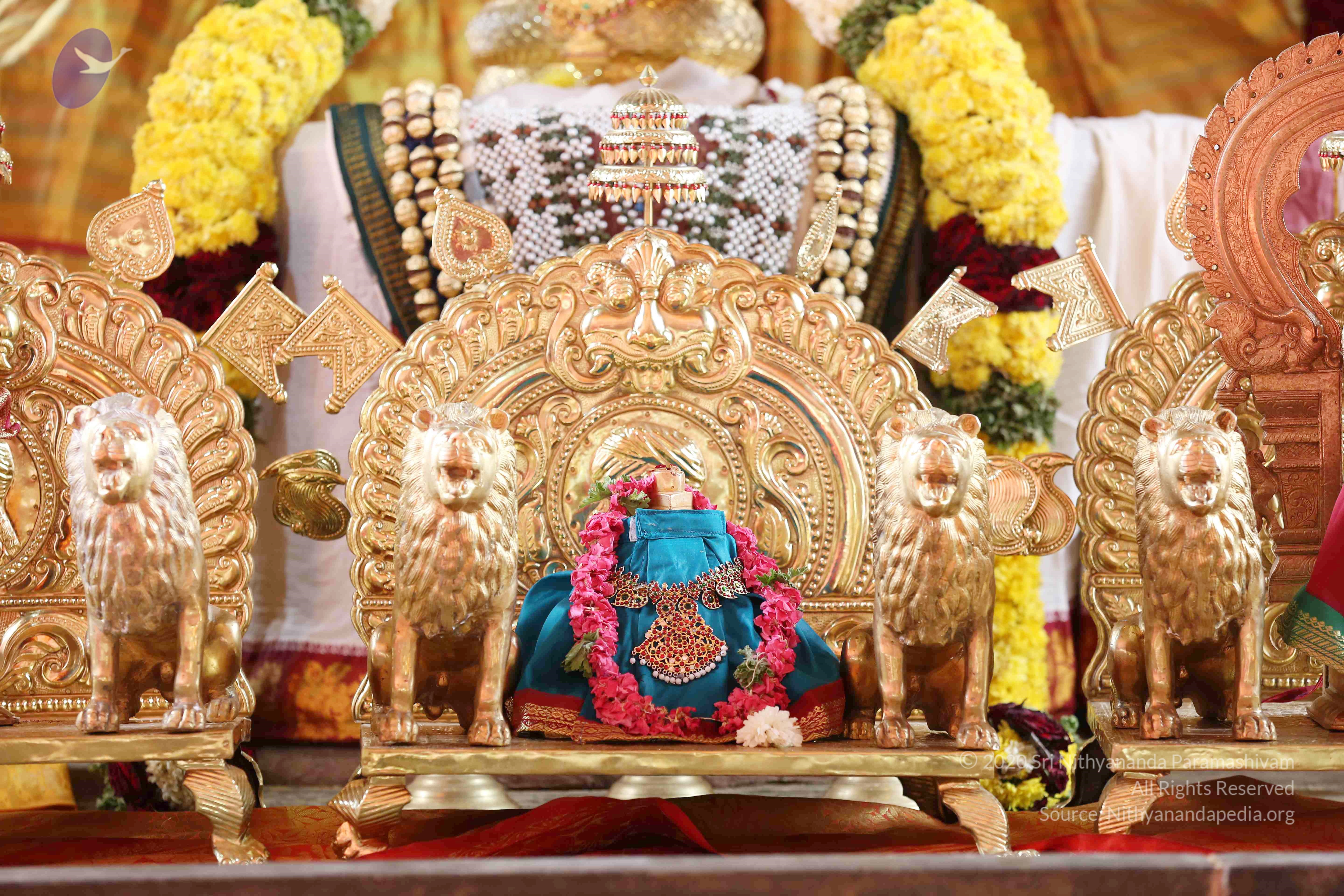 20161210_Photo_1015_IMGL2919_CMP_WM