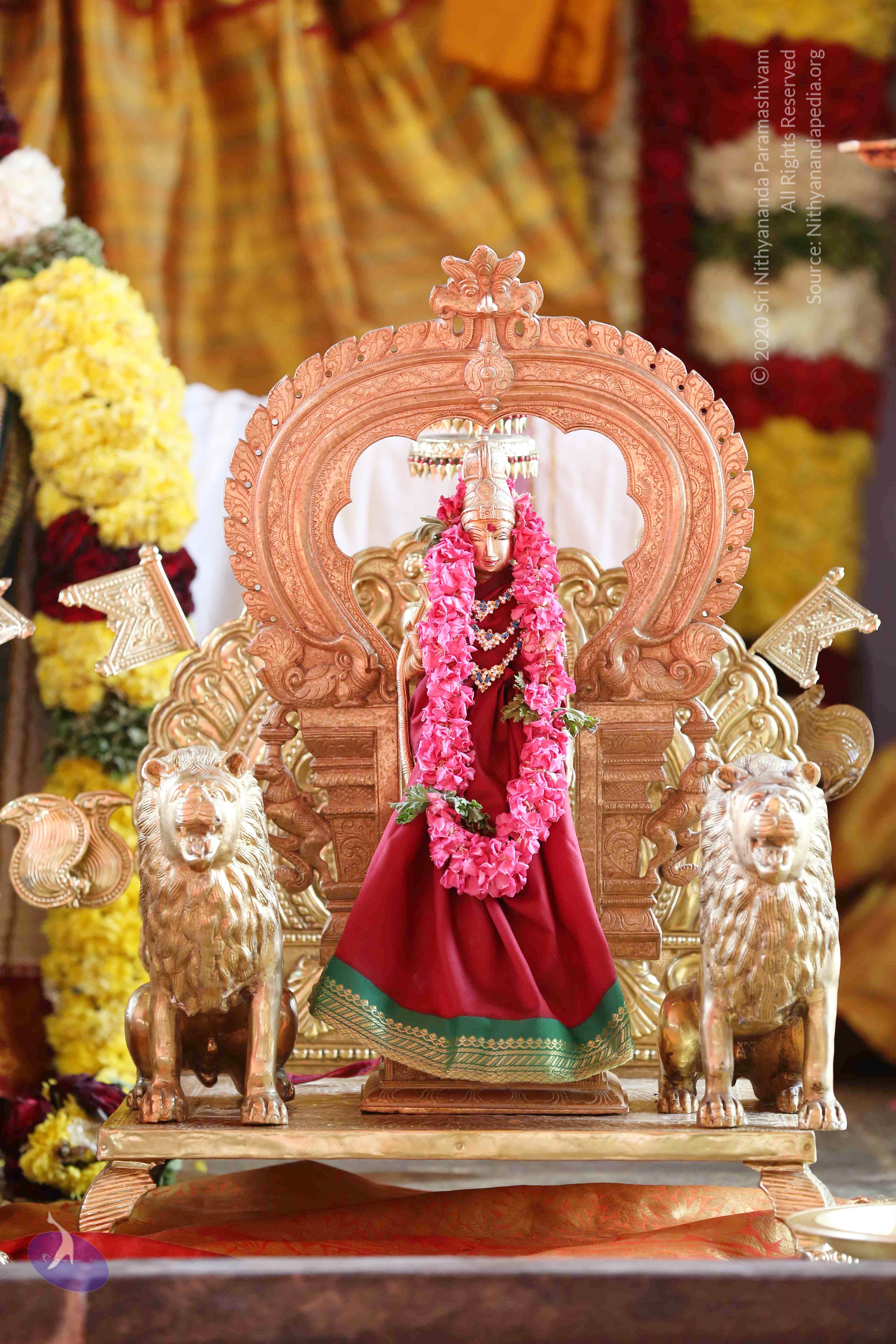 20161210_Photo_1017_IMGL2923_CMP_WM