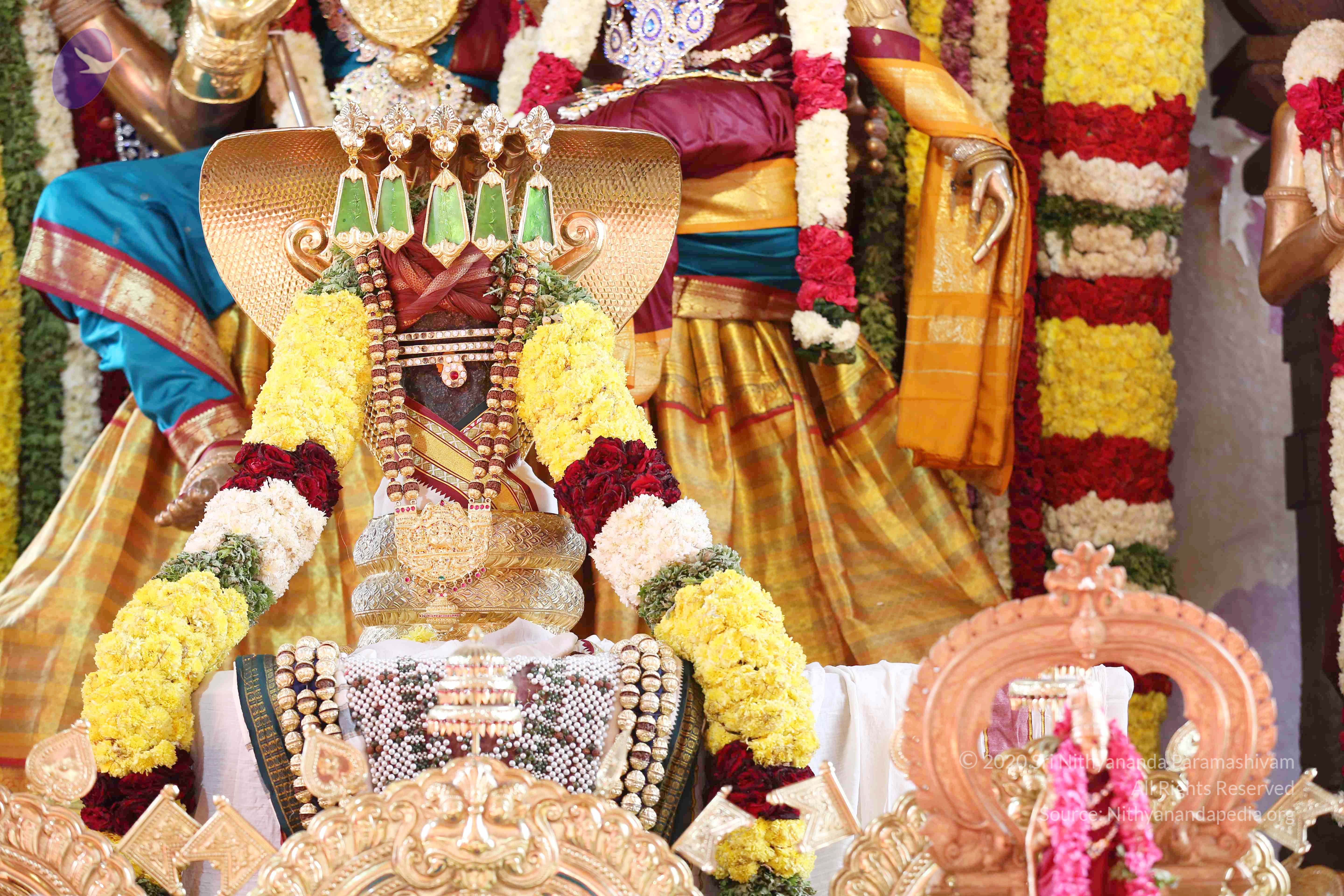 20161210_Photo_1019_IMGL2931_CMP_WM