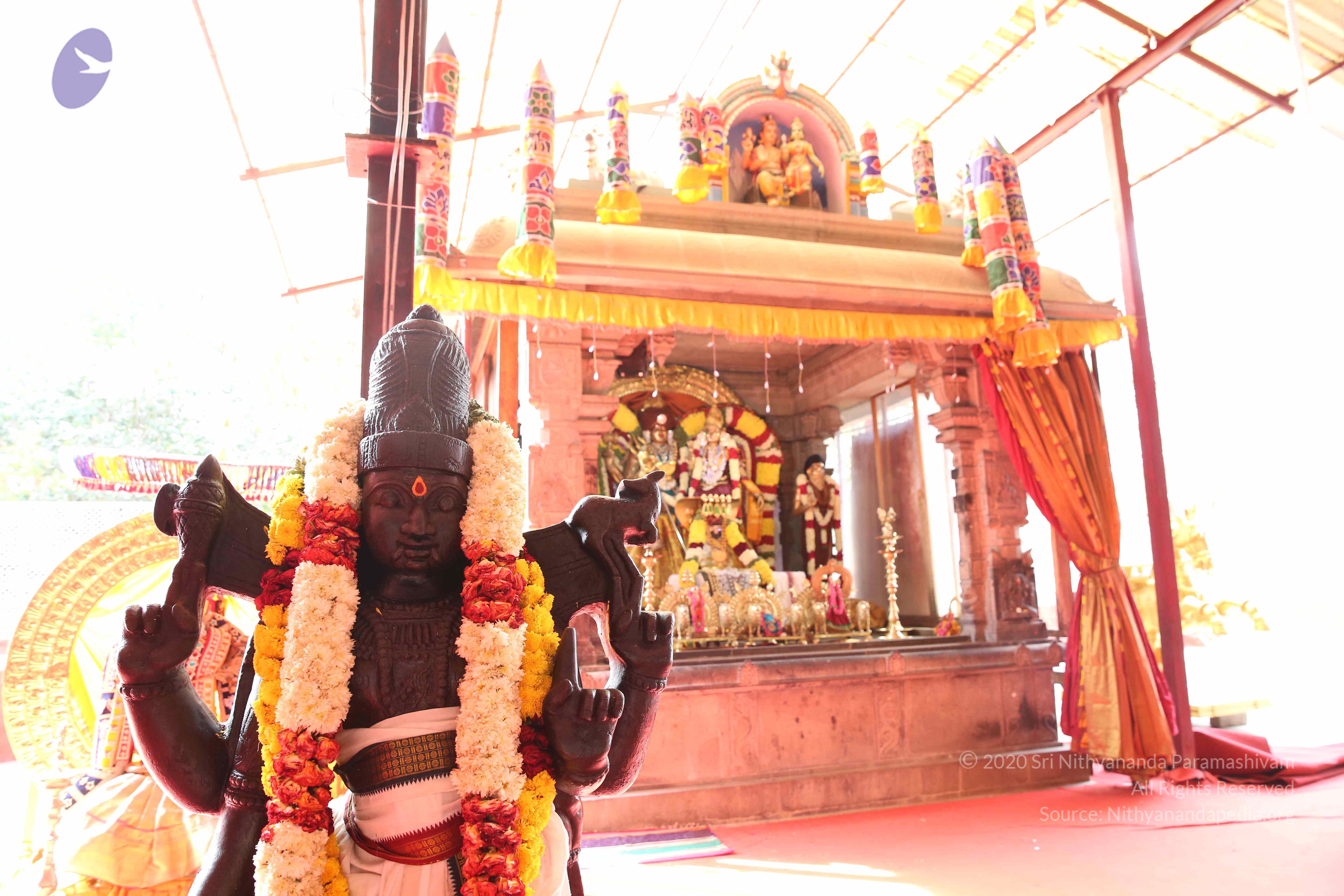 20161210_Photo_1021_IMGL2942_CMP_WM