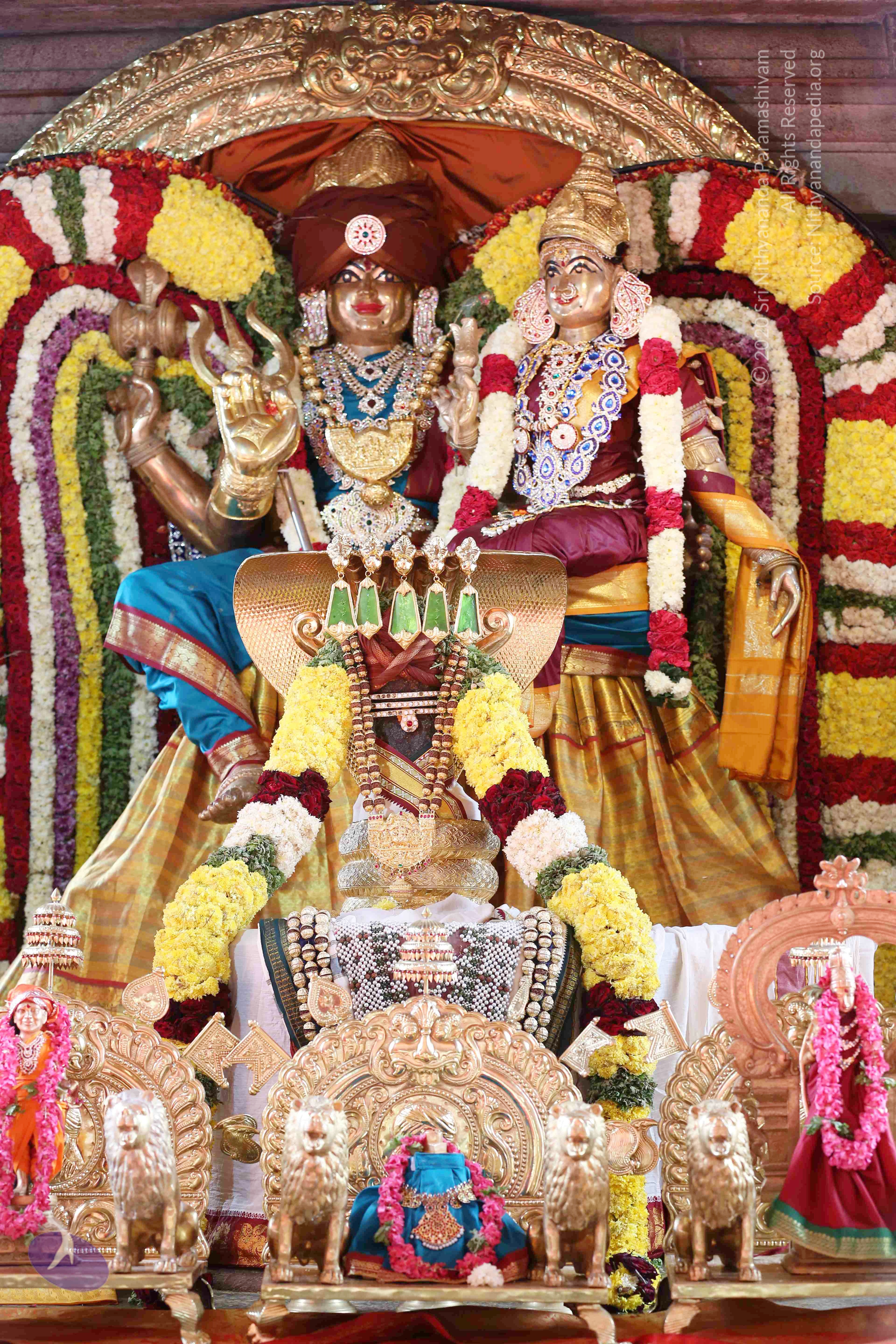 20161210_Photo_1030_IMGL2933_CMP_WM