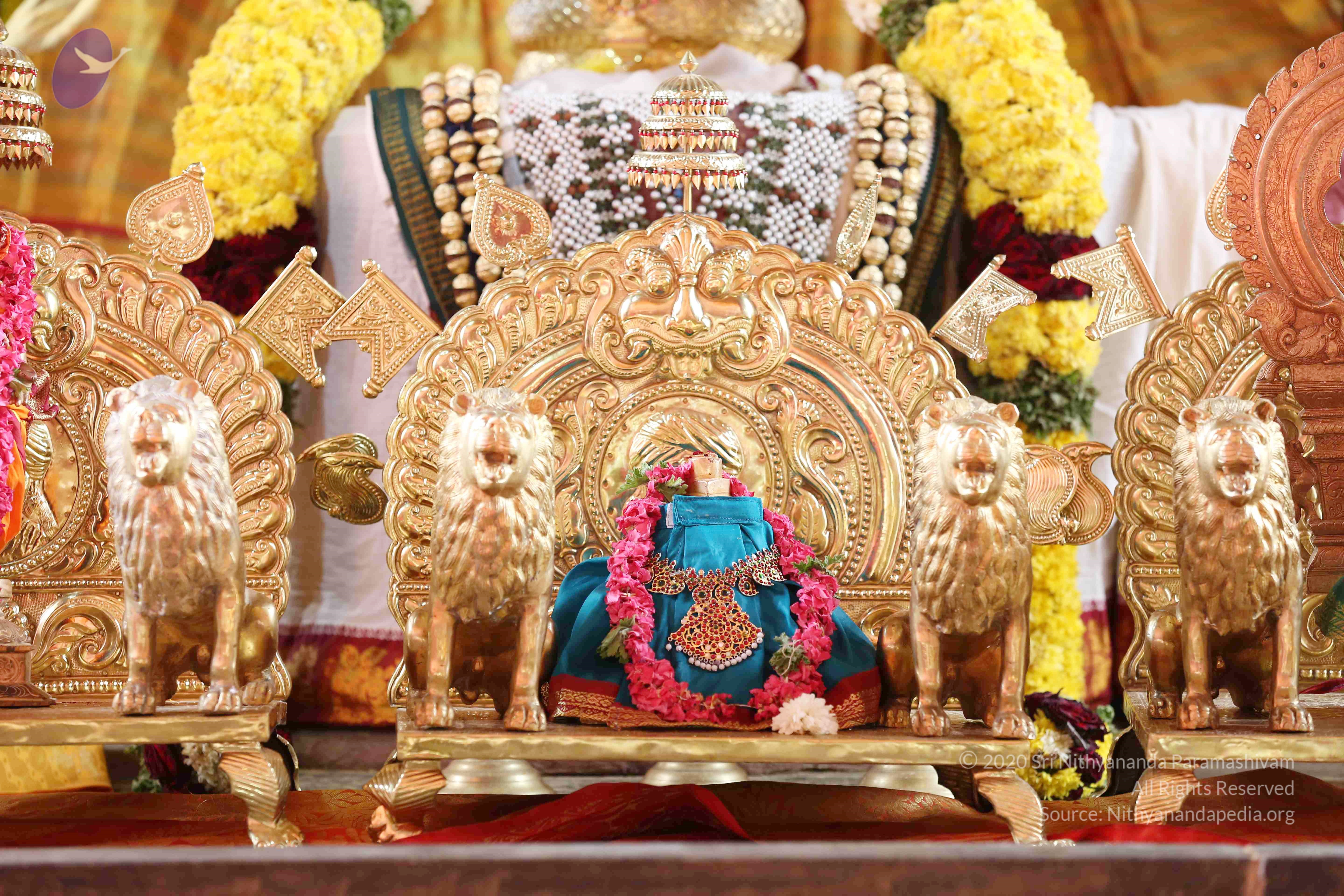 20161210_Photo_1032_IMGL2918_CMP_WM