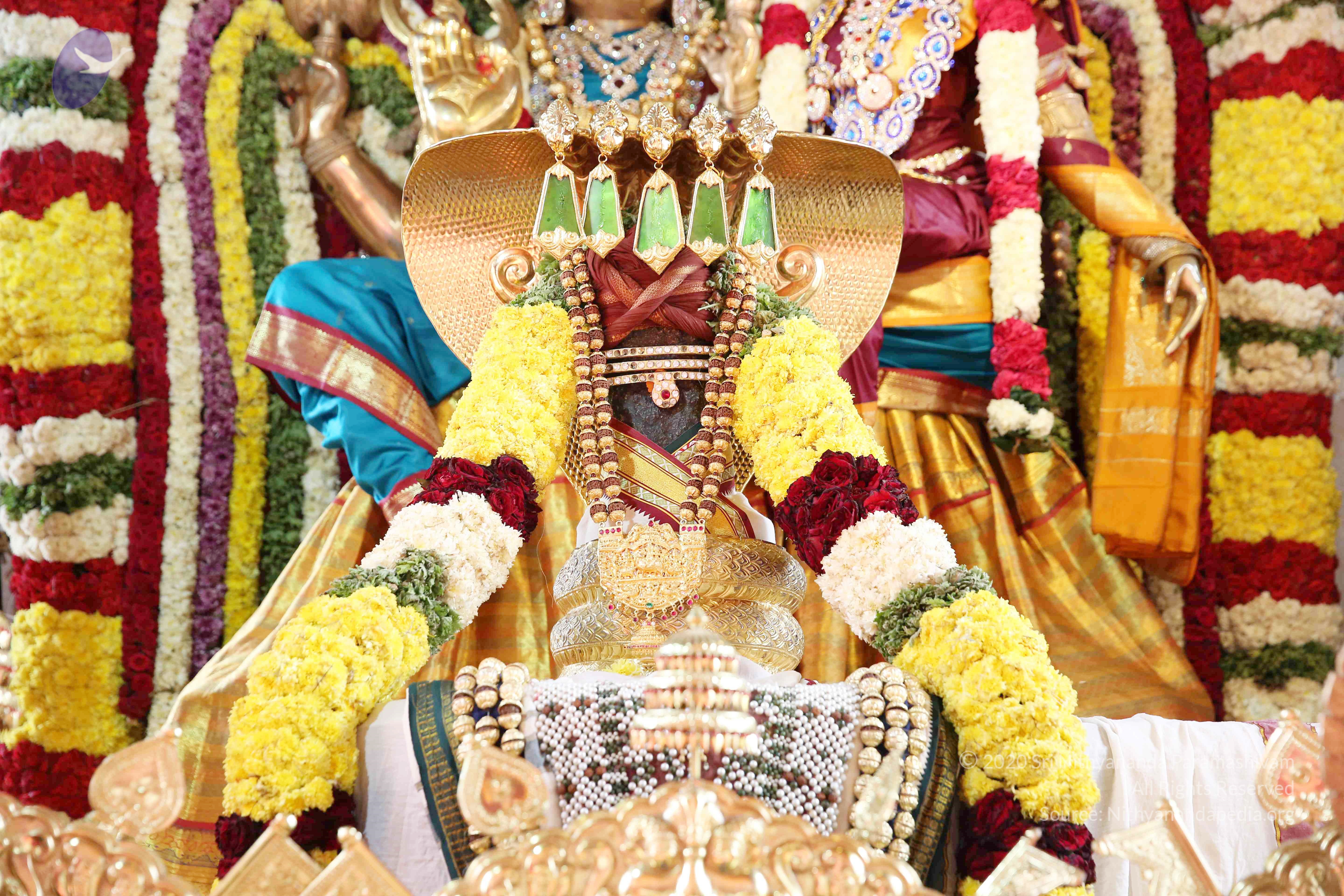 20161210_Photo_1033_IMGL2909_CMP_WM