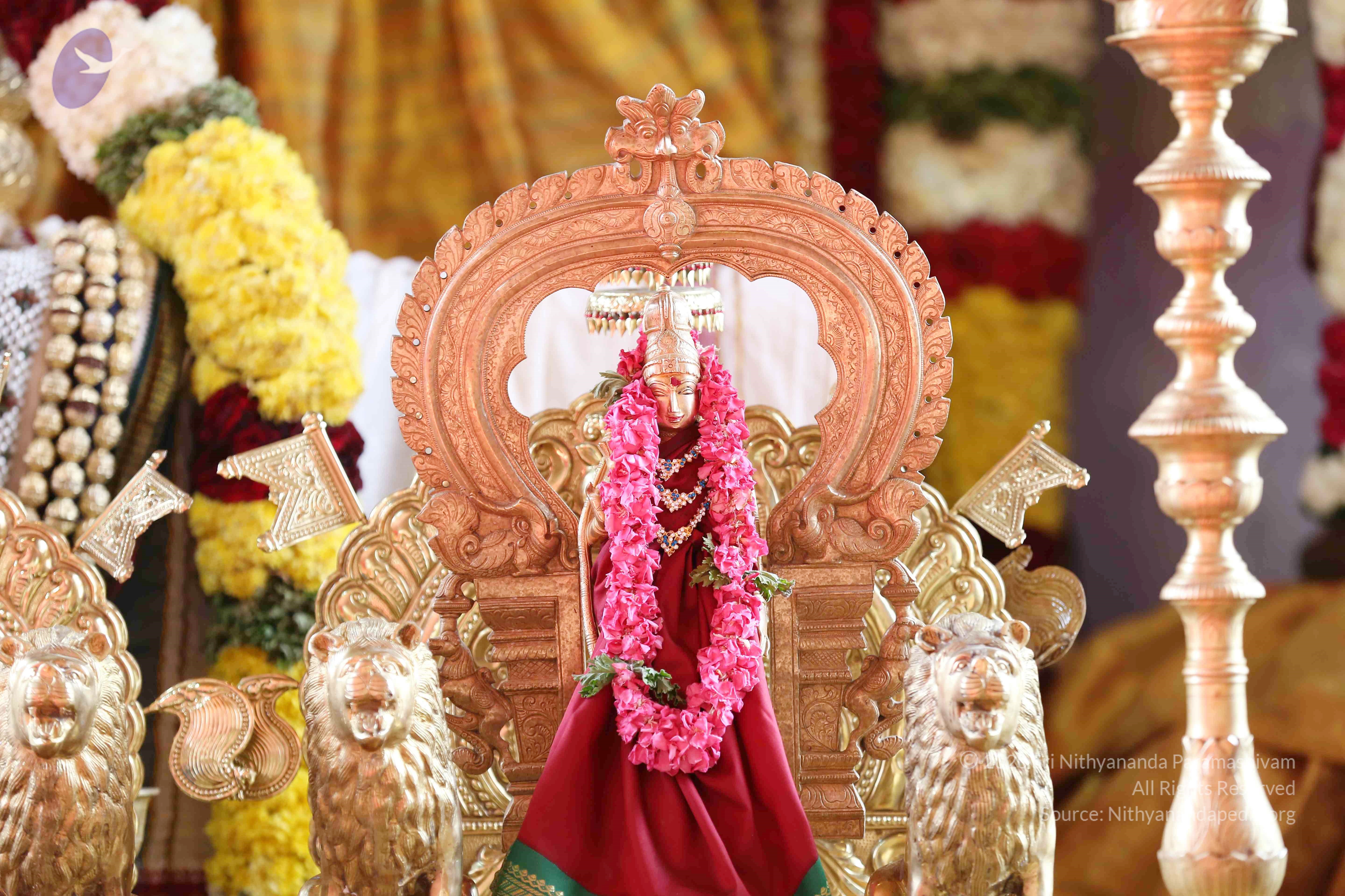 20161210_Photo_1034_IMGL2922_CMP_WM