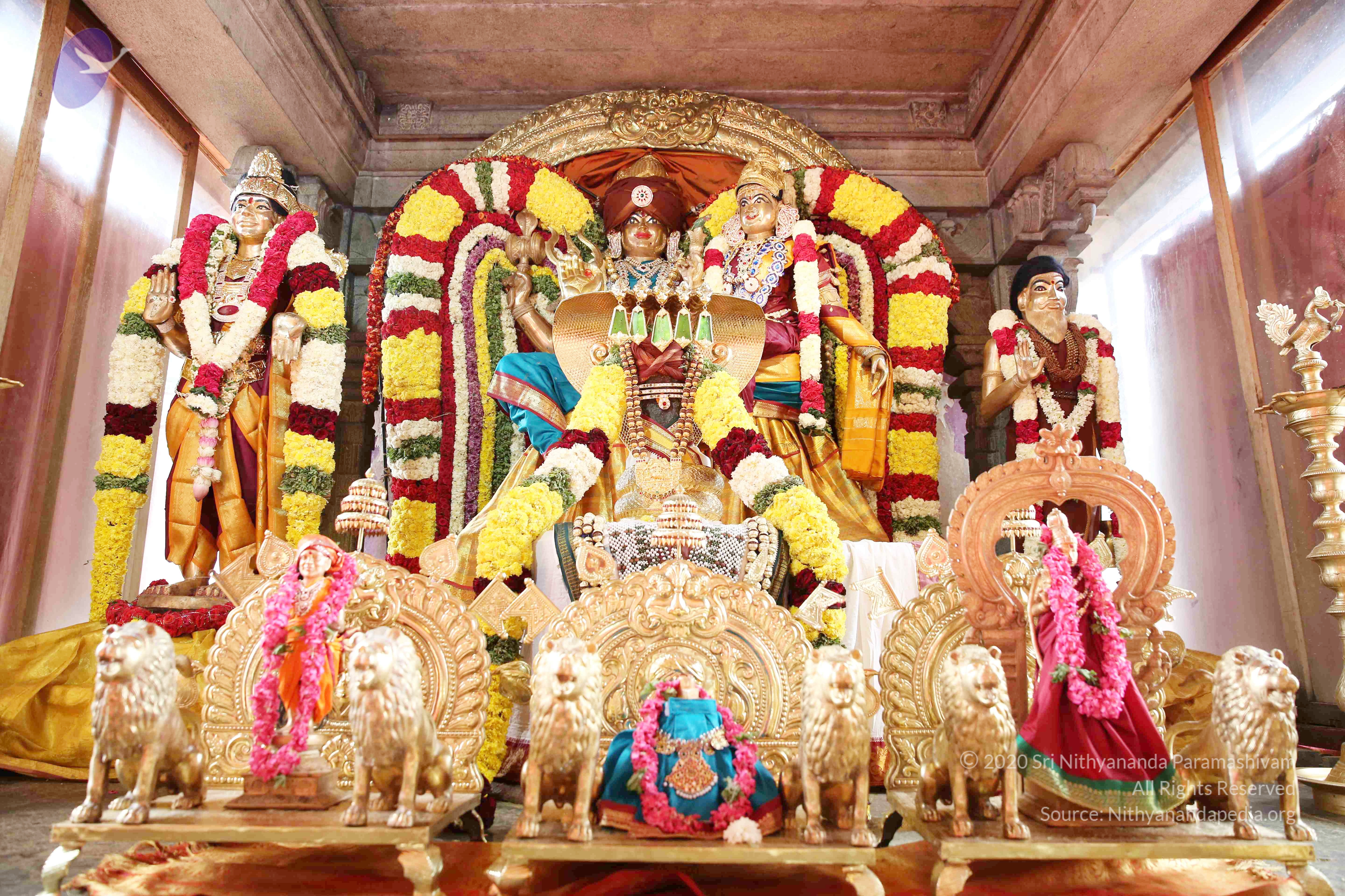 20161210_Photo_1037_IMGL2910_CMP_WM