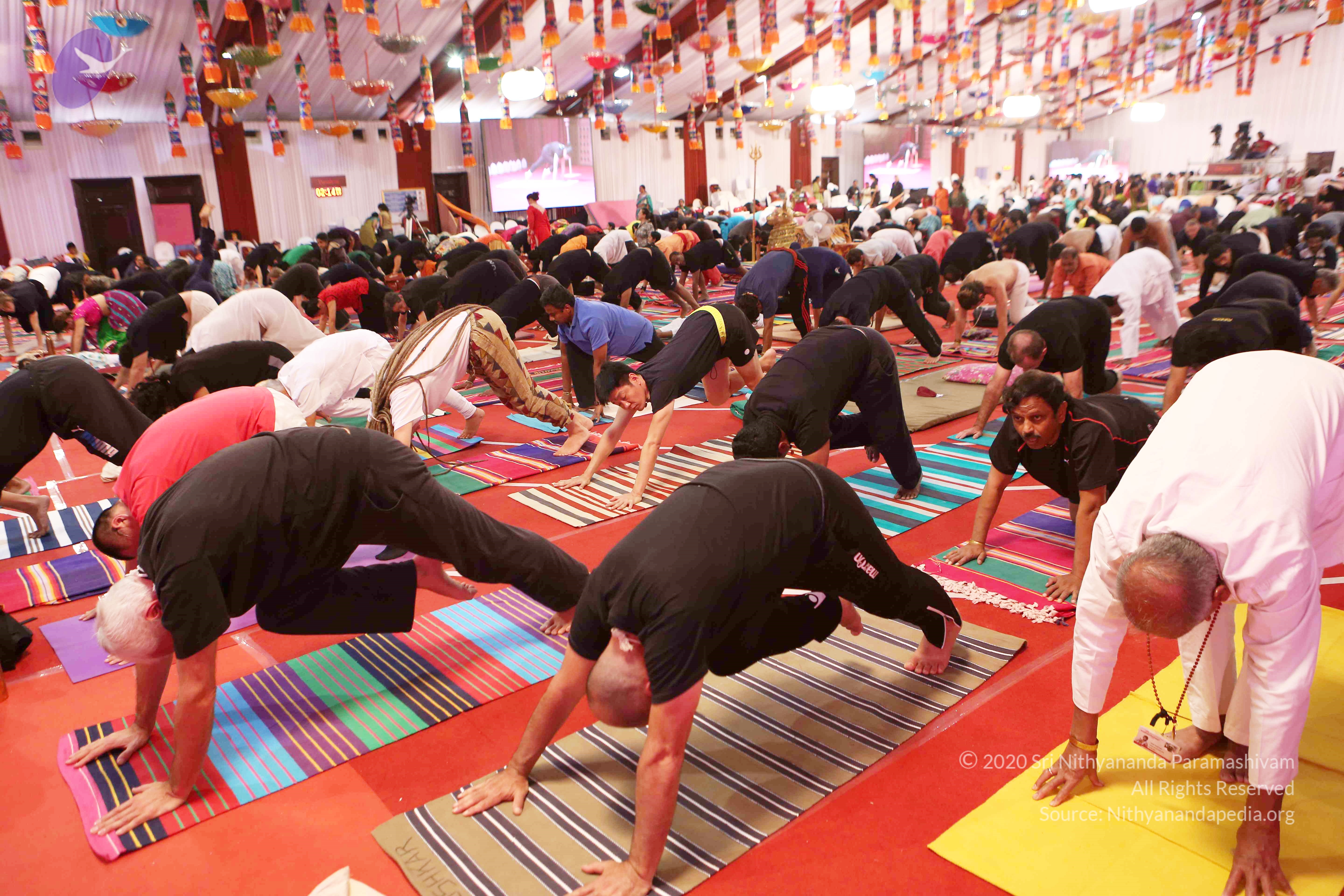 20161210_Photo_1017_G28A8382_CMP_WM