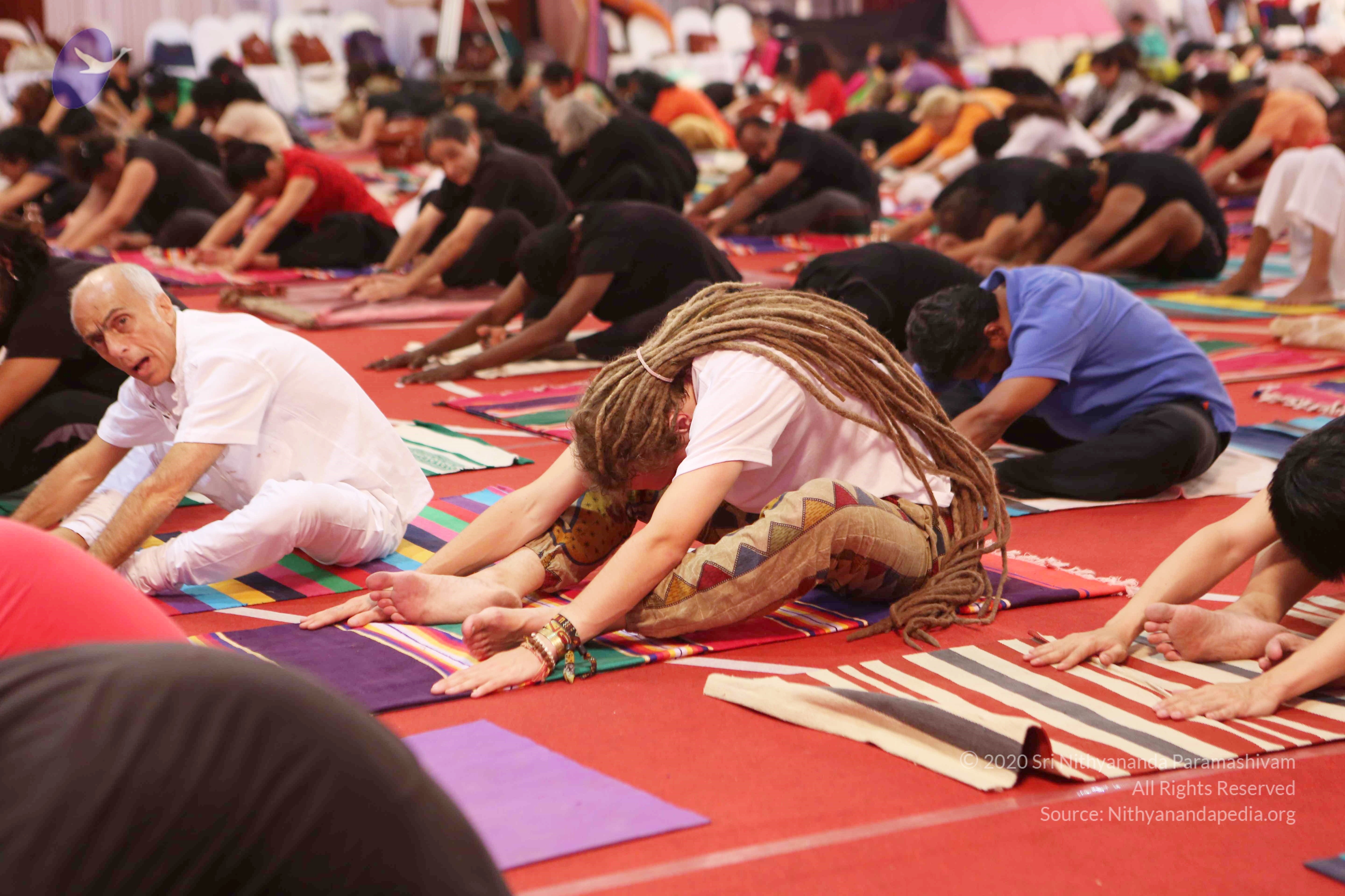 20161210_Photo_1027_G28A8412_CMP_WM