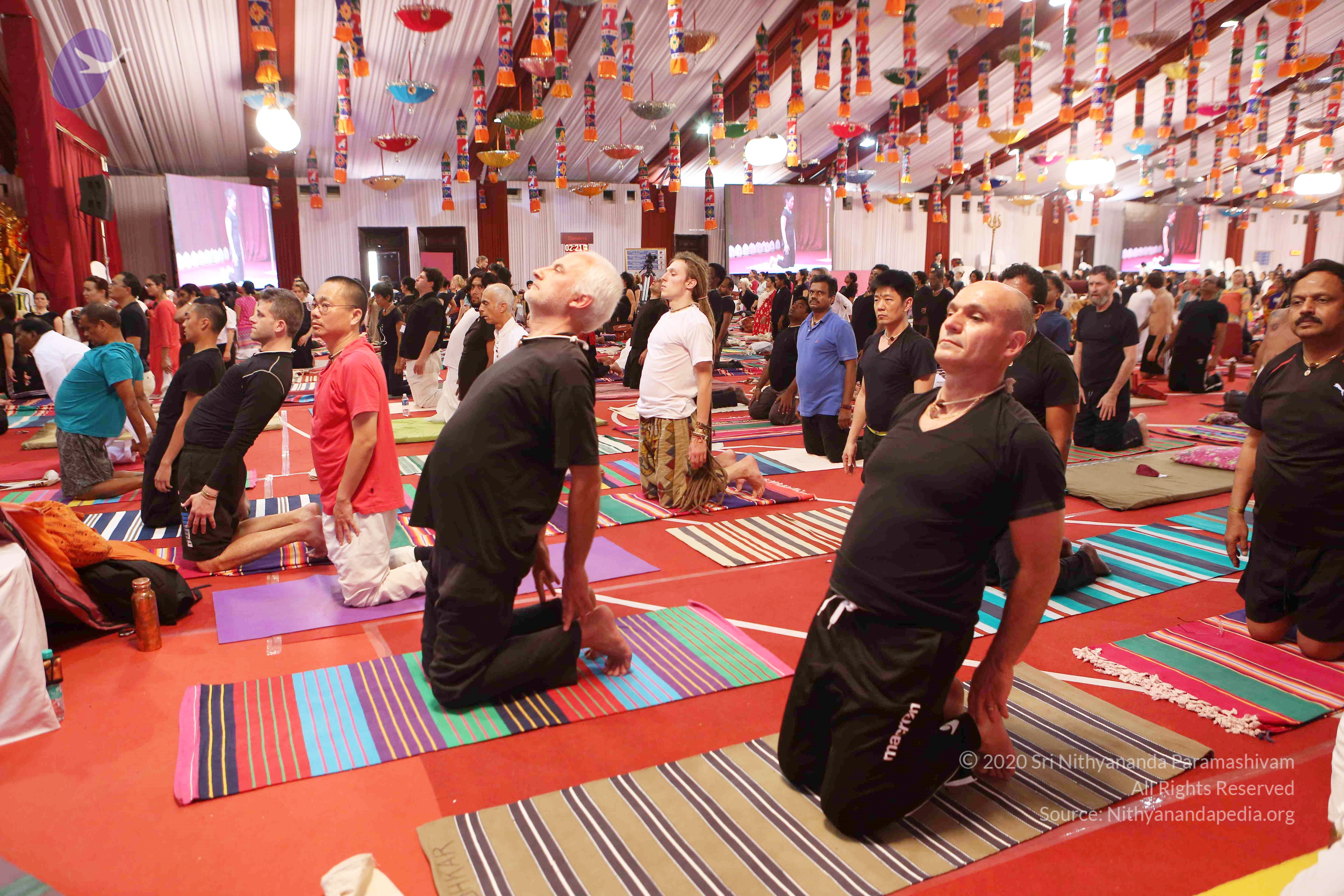 20161210_Photo_1032_G28A8393_CMP_WM