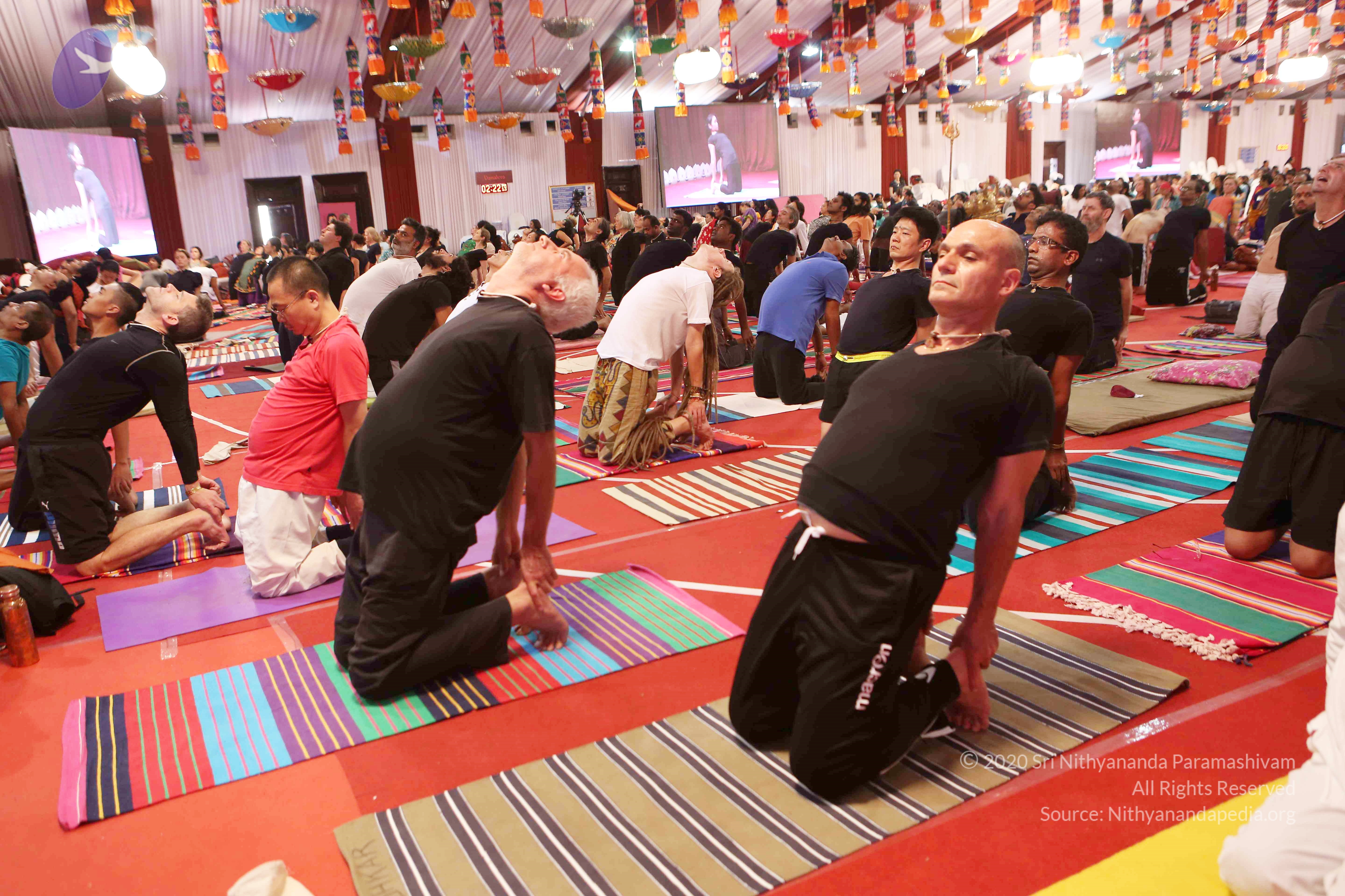 20161210_Photo_1035_G28A8394_CMP_WM