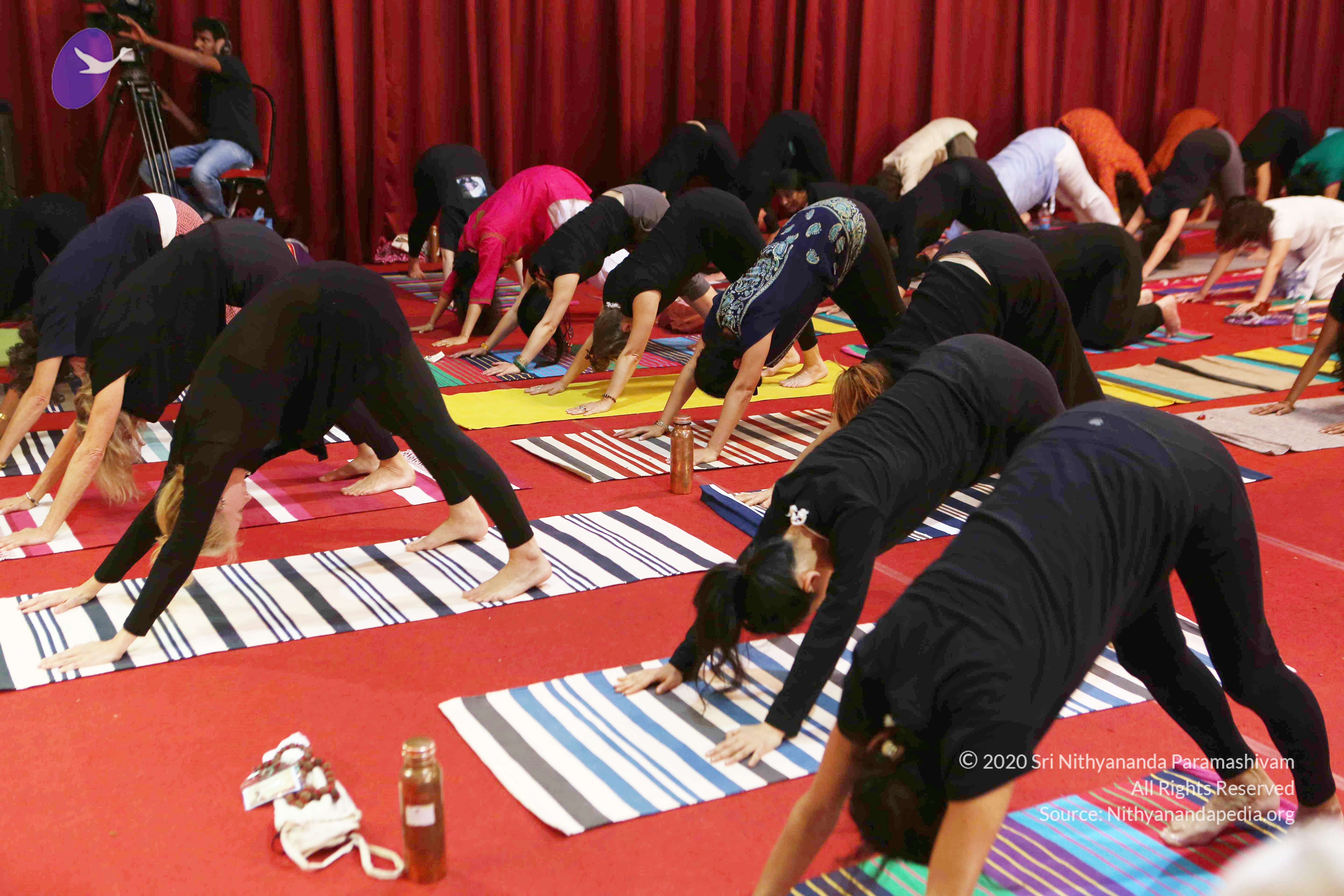 20161210_Photo_1037_G28A8388_CMP_WM