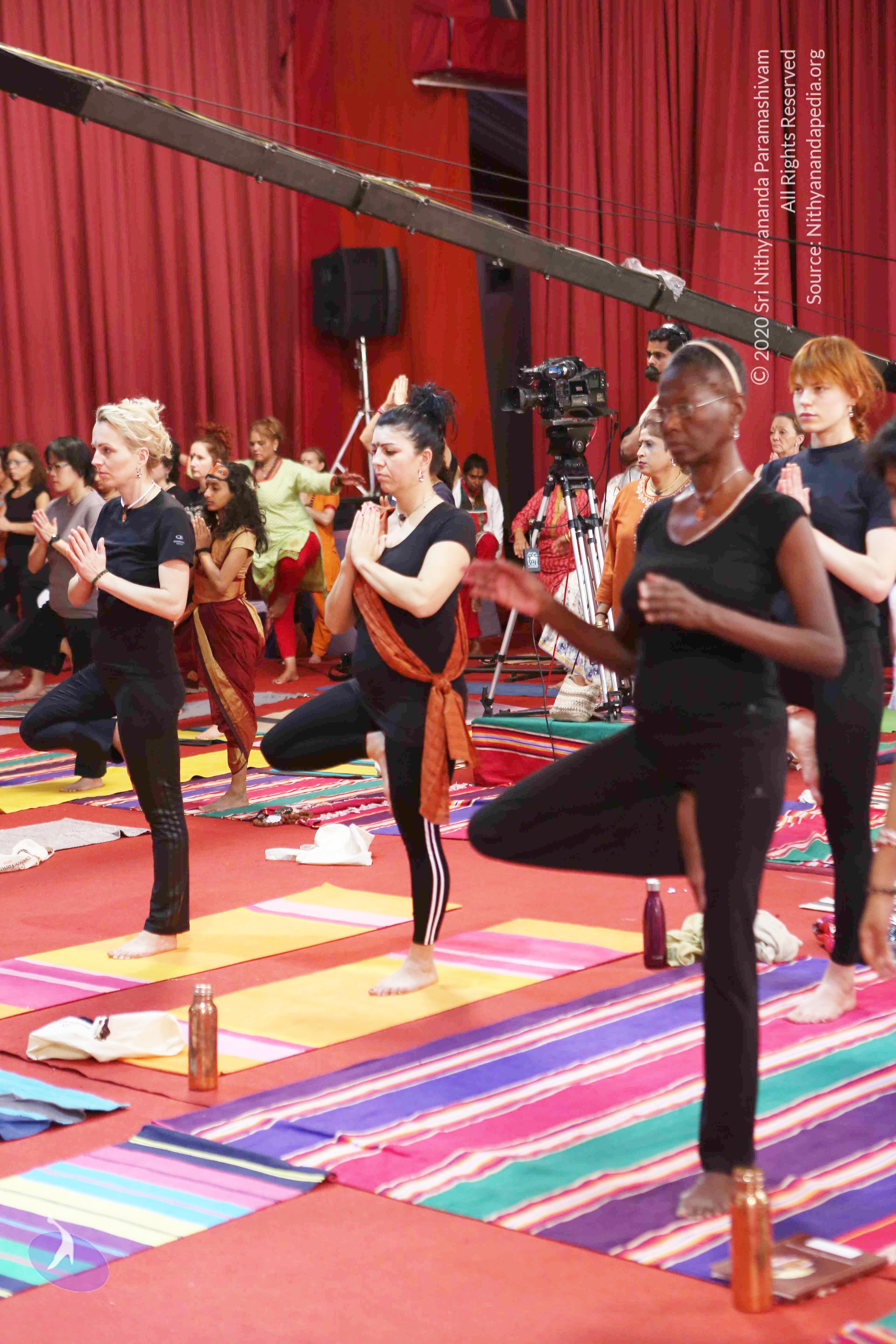 20161210_Photo_1045_G28A8366_CMP_WM