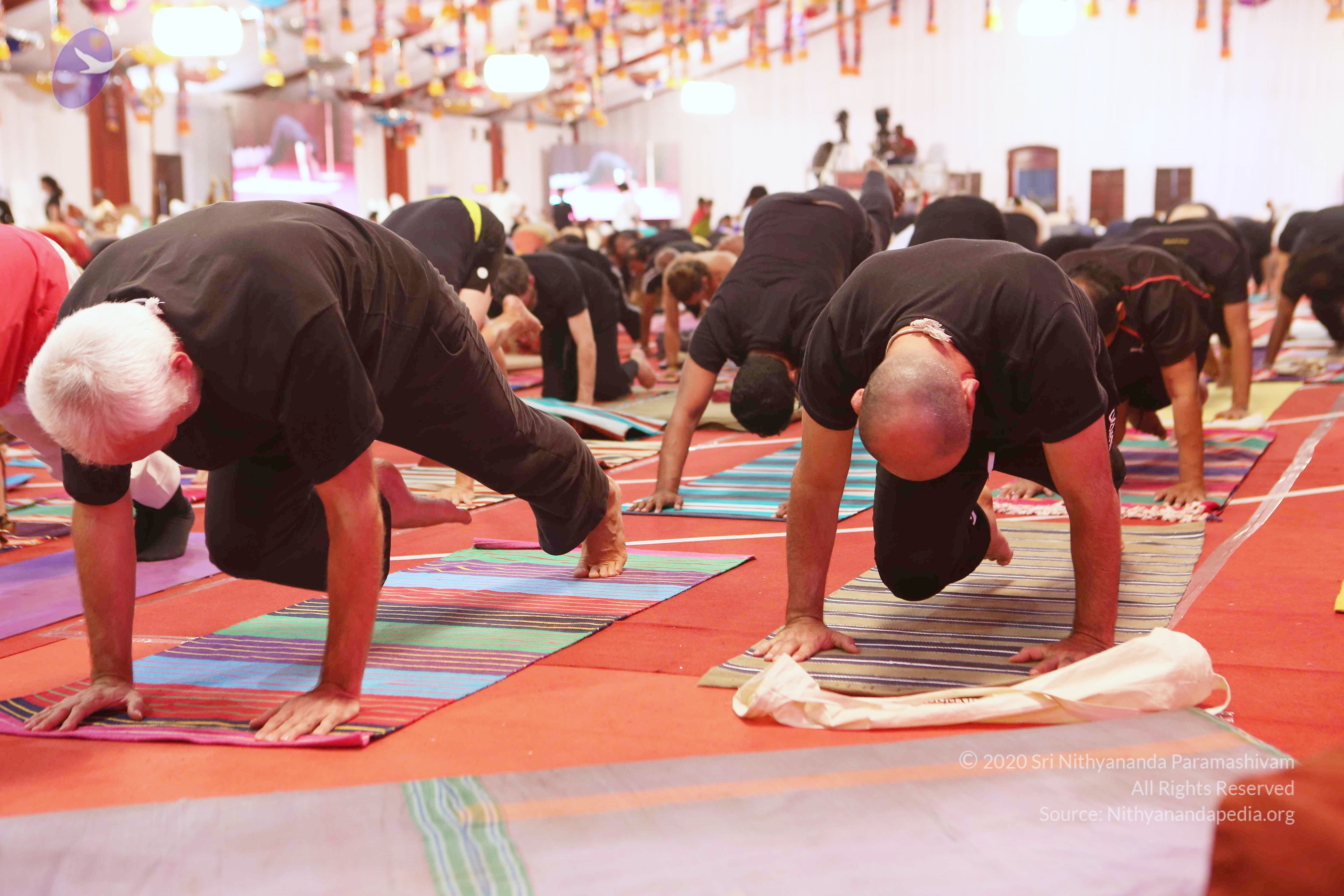 20161210_Photo_1073_G28A8383_CMP_WM