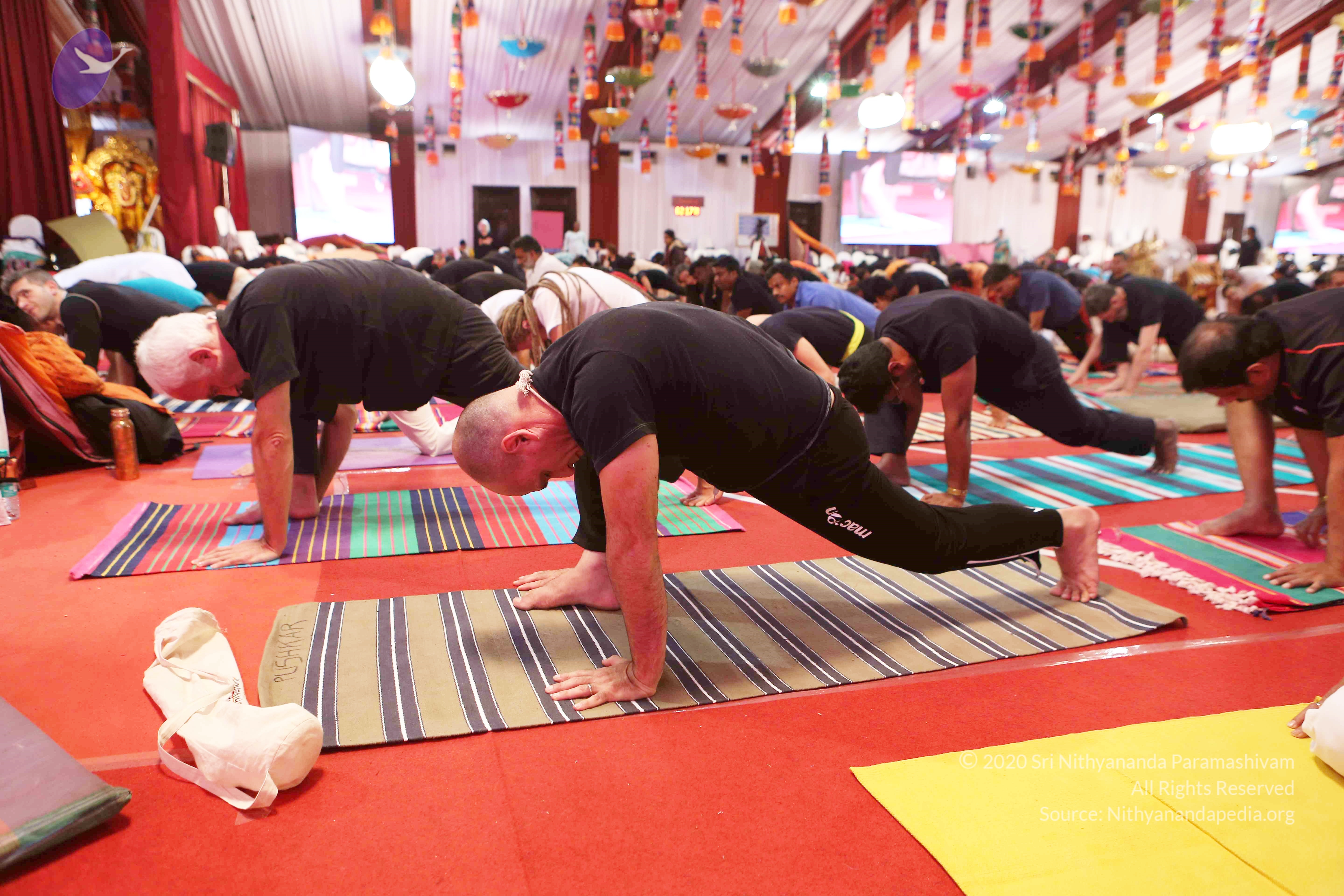 20161210_Photo_1096_G28A8386_CMP_WM