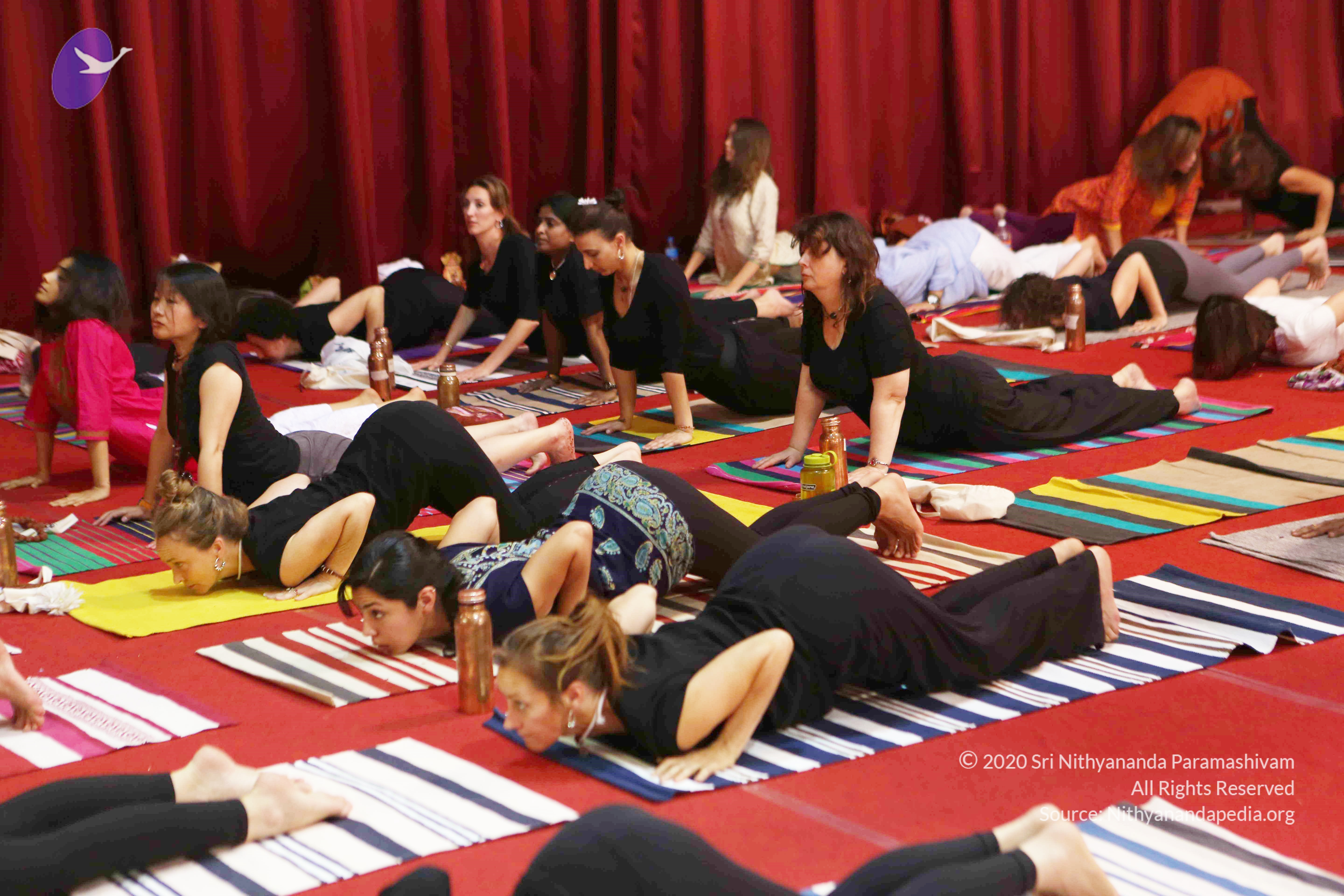 20161210_Photo_1098_G28A8379_CMP_WM