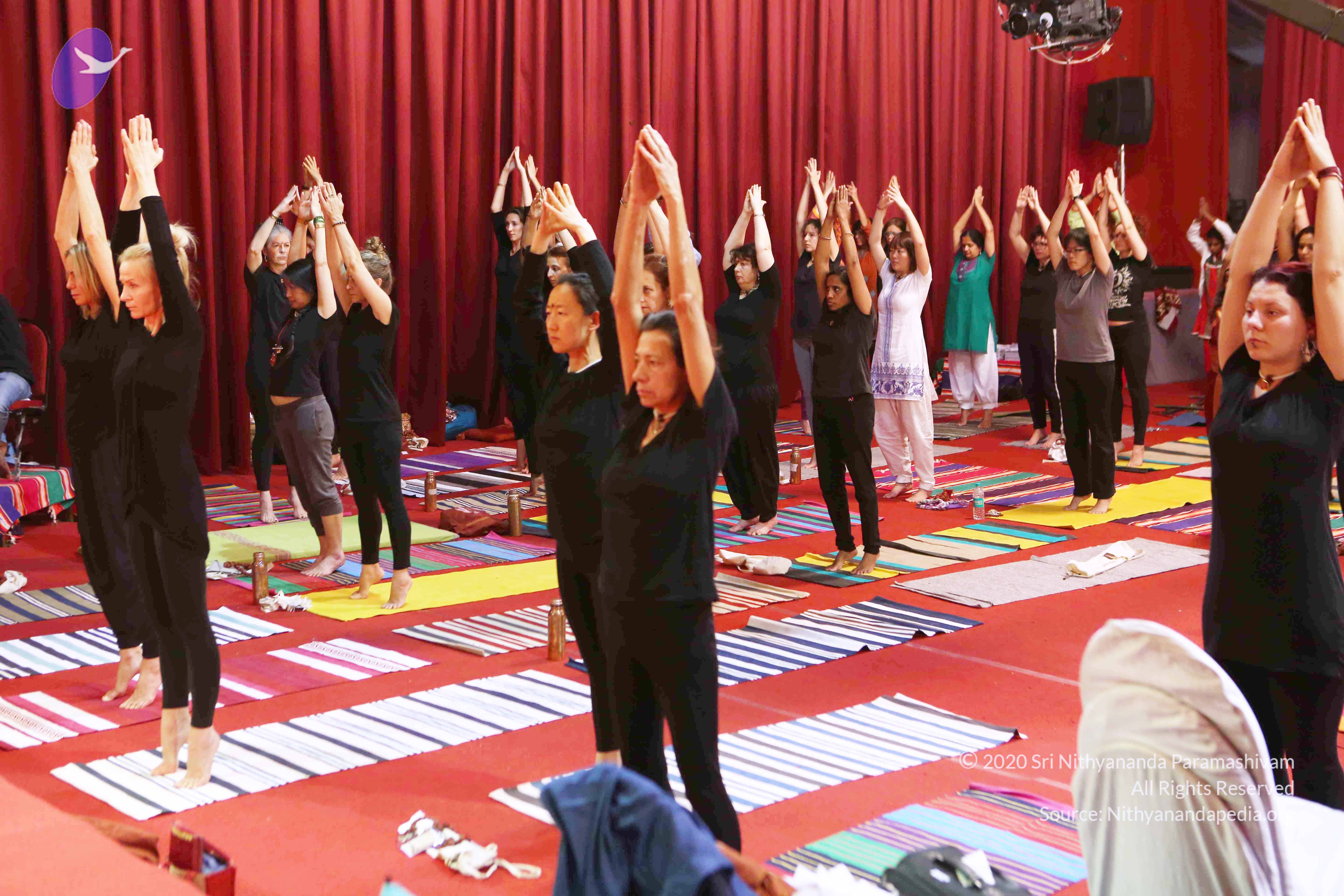 20161210_Photo_1102_G28A8365_CMP_WM