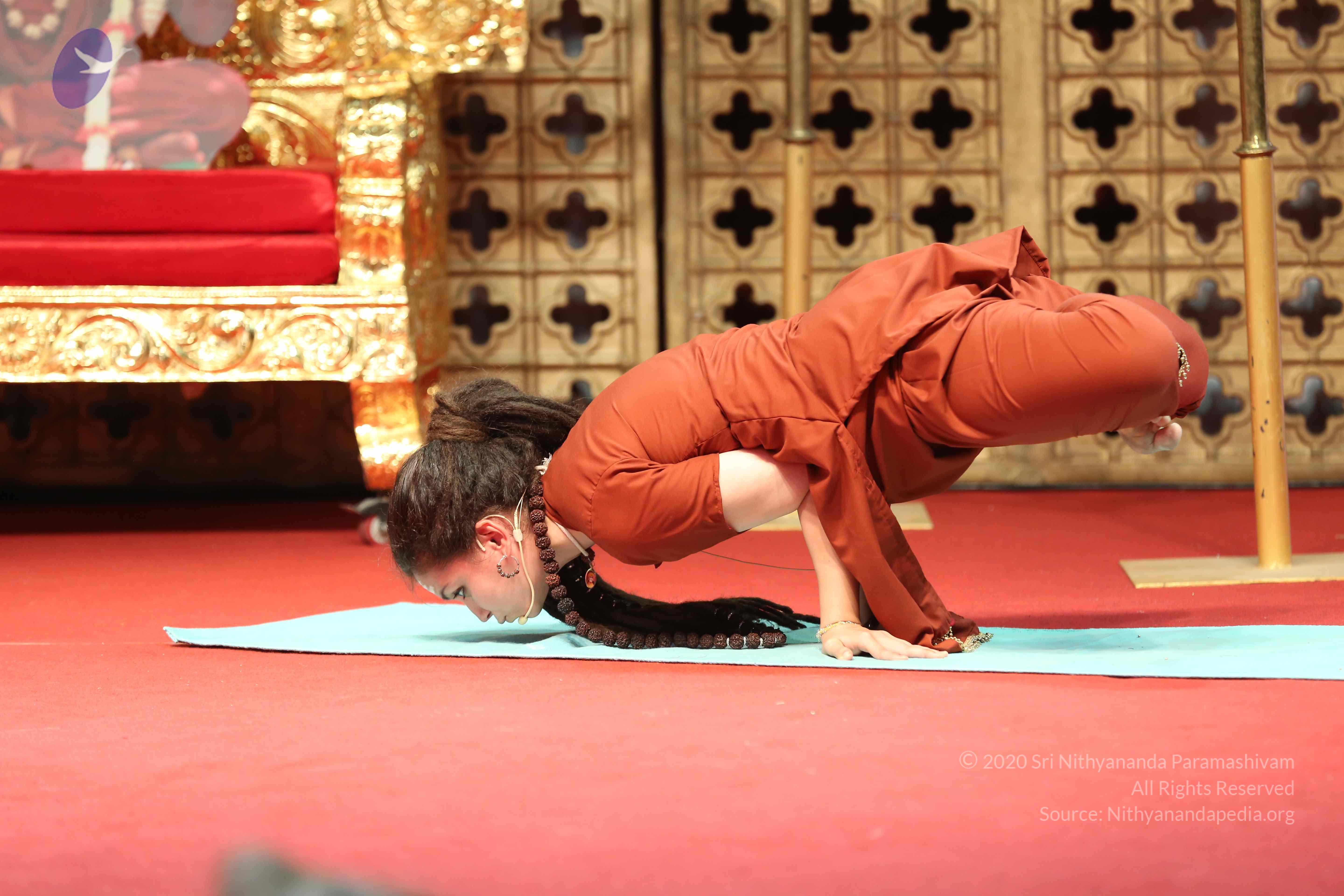 20161210_Photo_1107_IMGL2966_CMP_WM