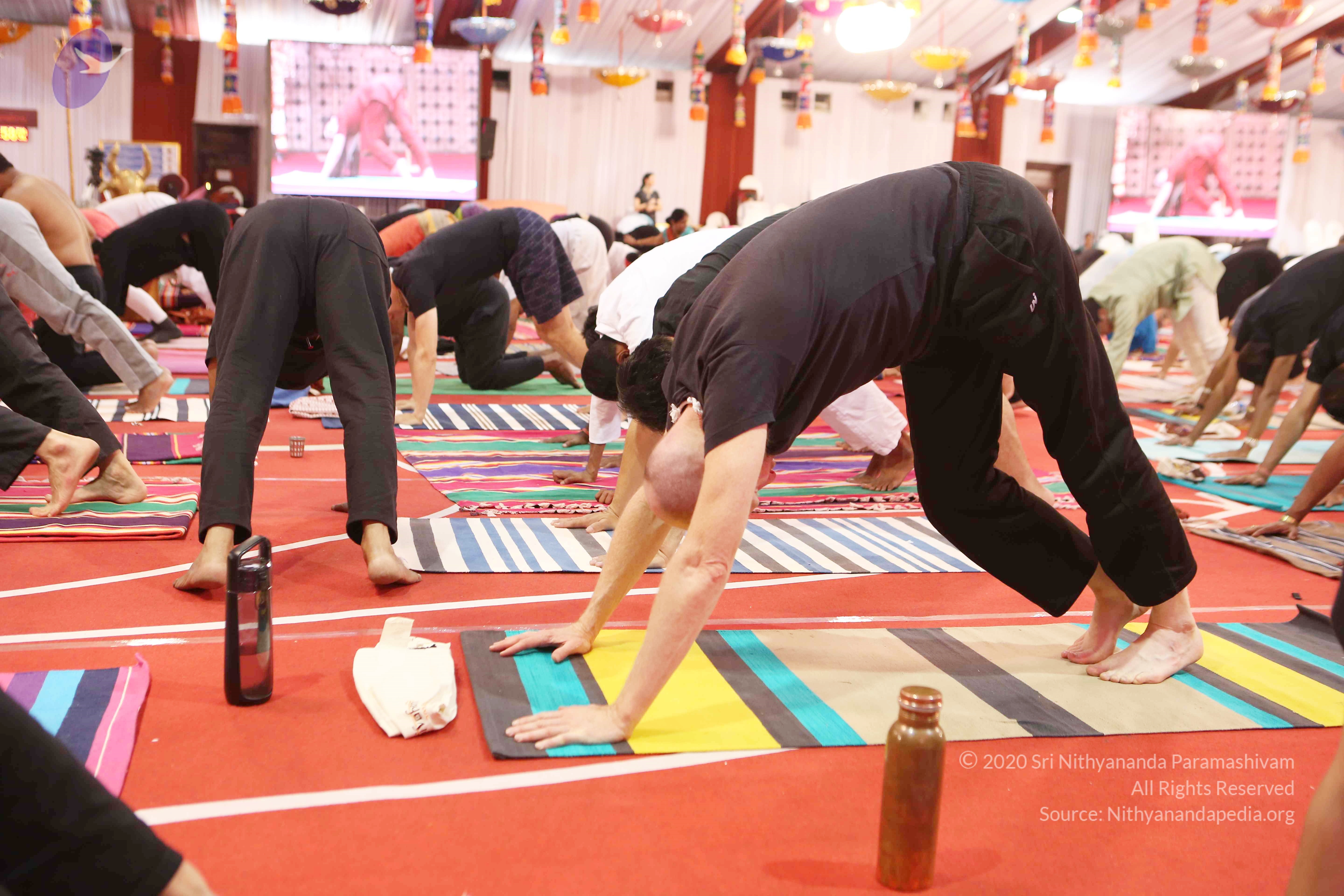 20161210_Photo_1110_G28A8349_CMP_WM