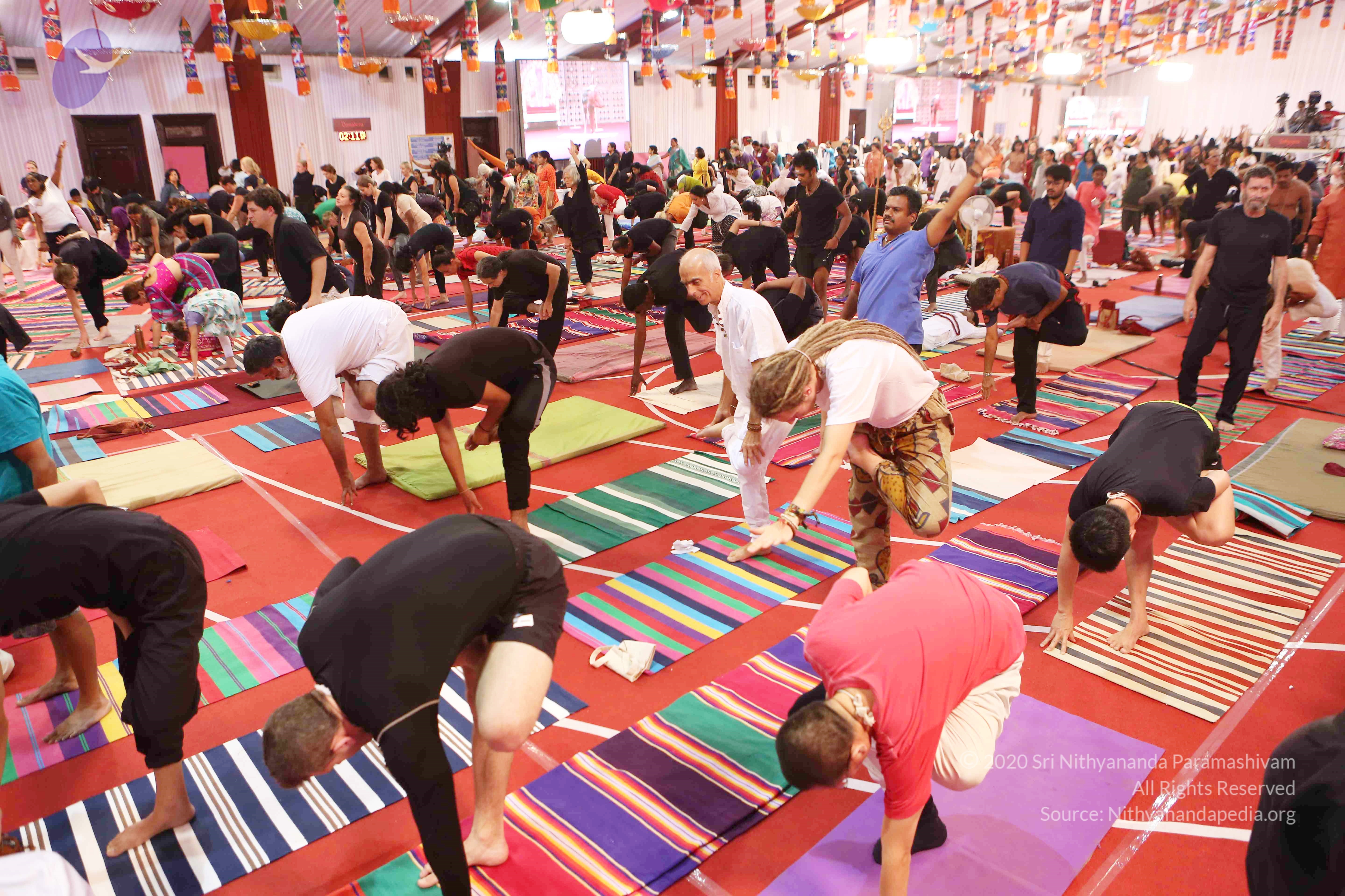 20161210_Photo_1118_G28A8373_CMP_WM