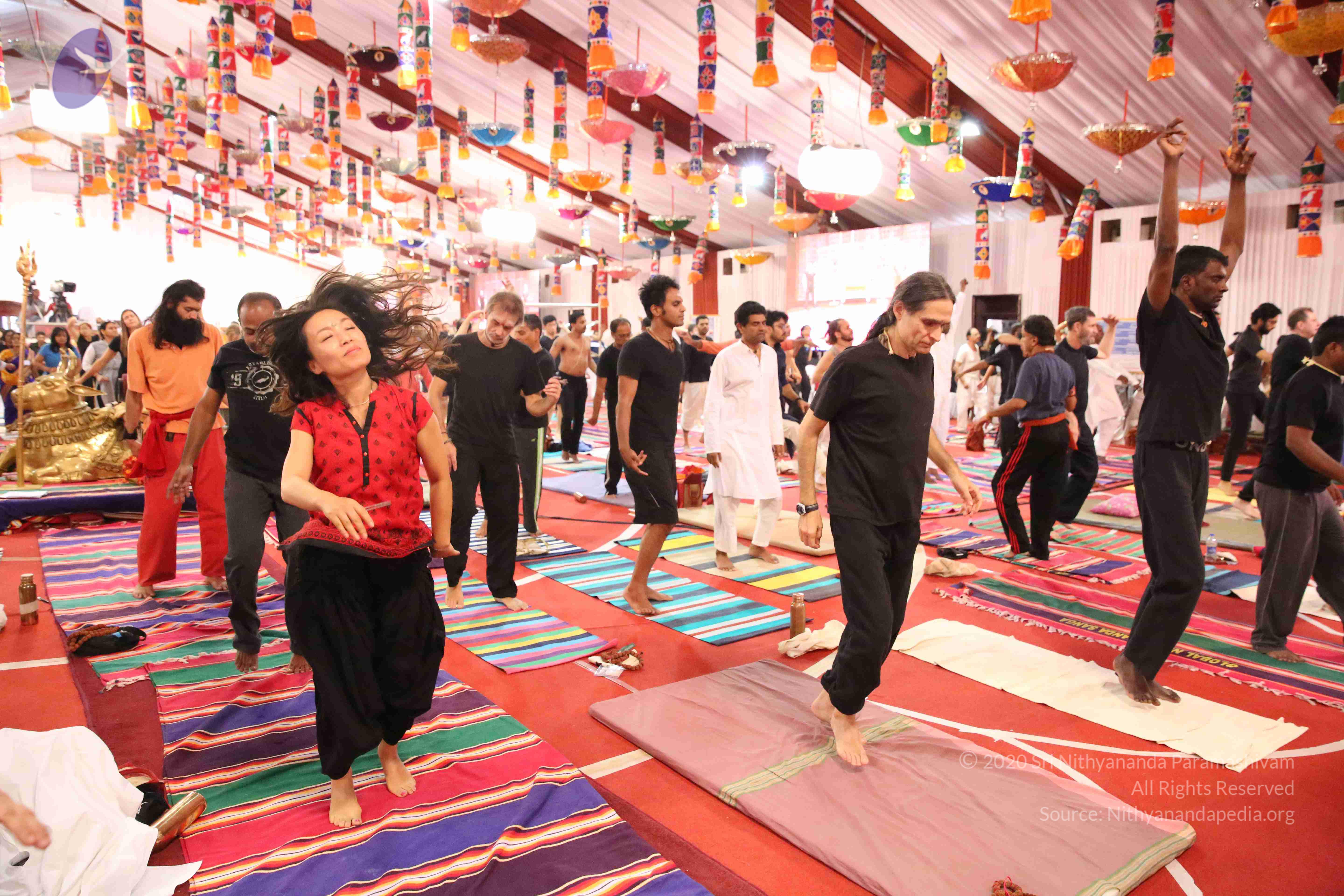 20161210_Photo_1121_IMGL2885_CMP_WM