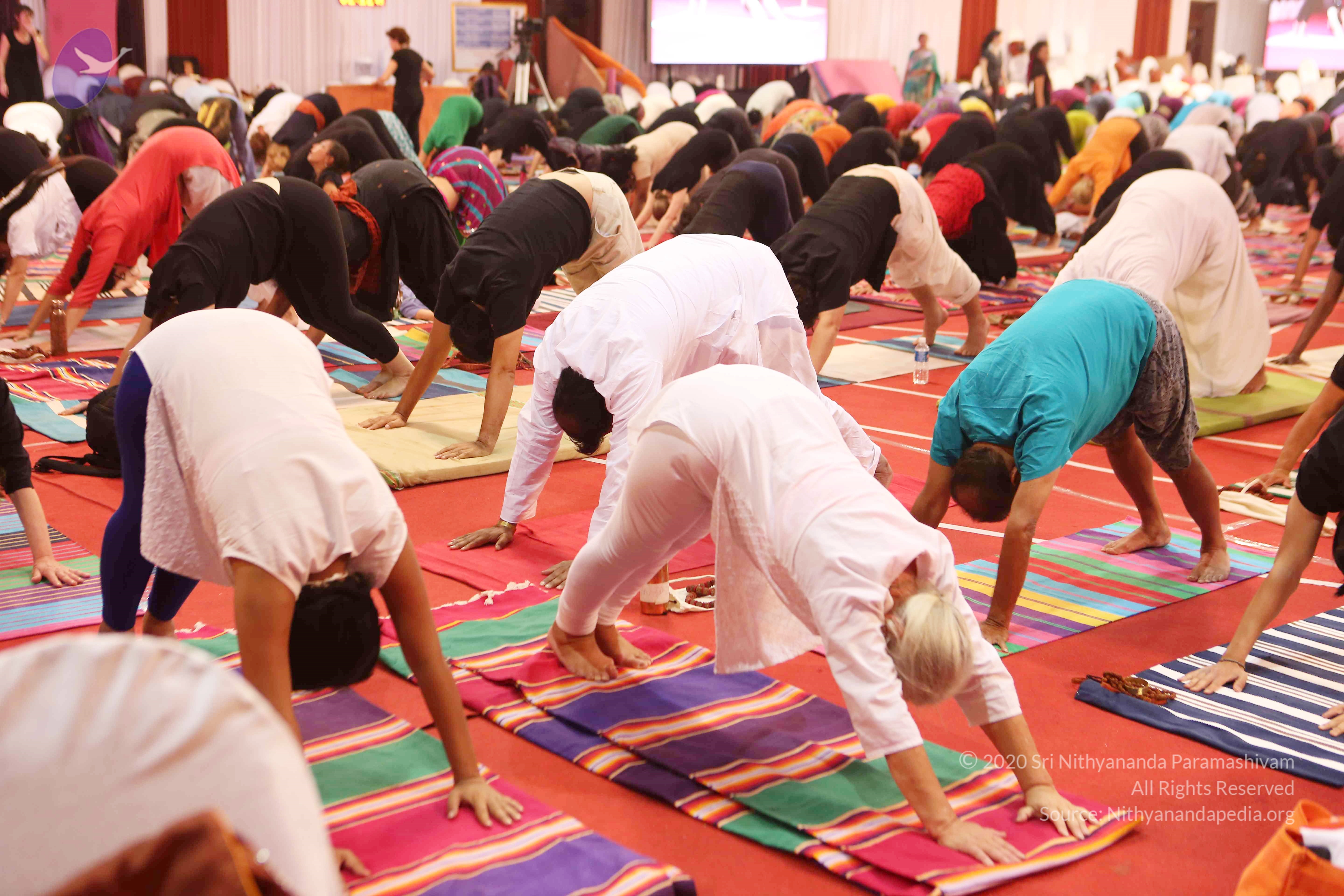 20161210_Photo_1126_G28A8376_CMP_WM