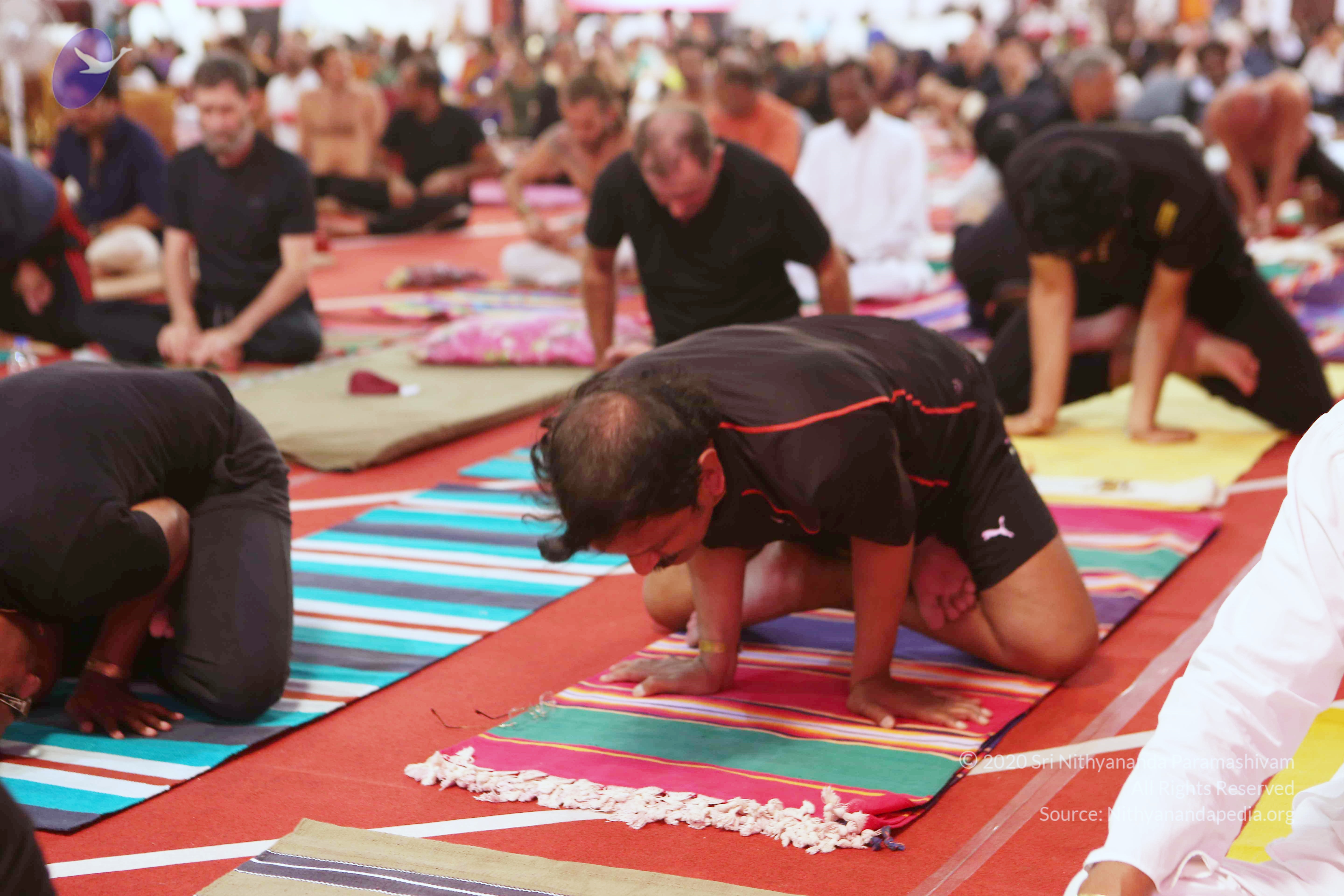 20161210_Photo_1133_G28A8405_CMP_WM