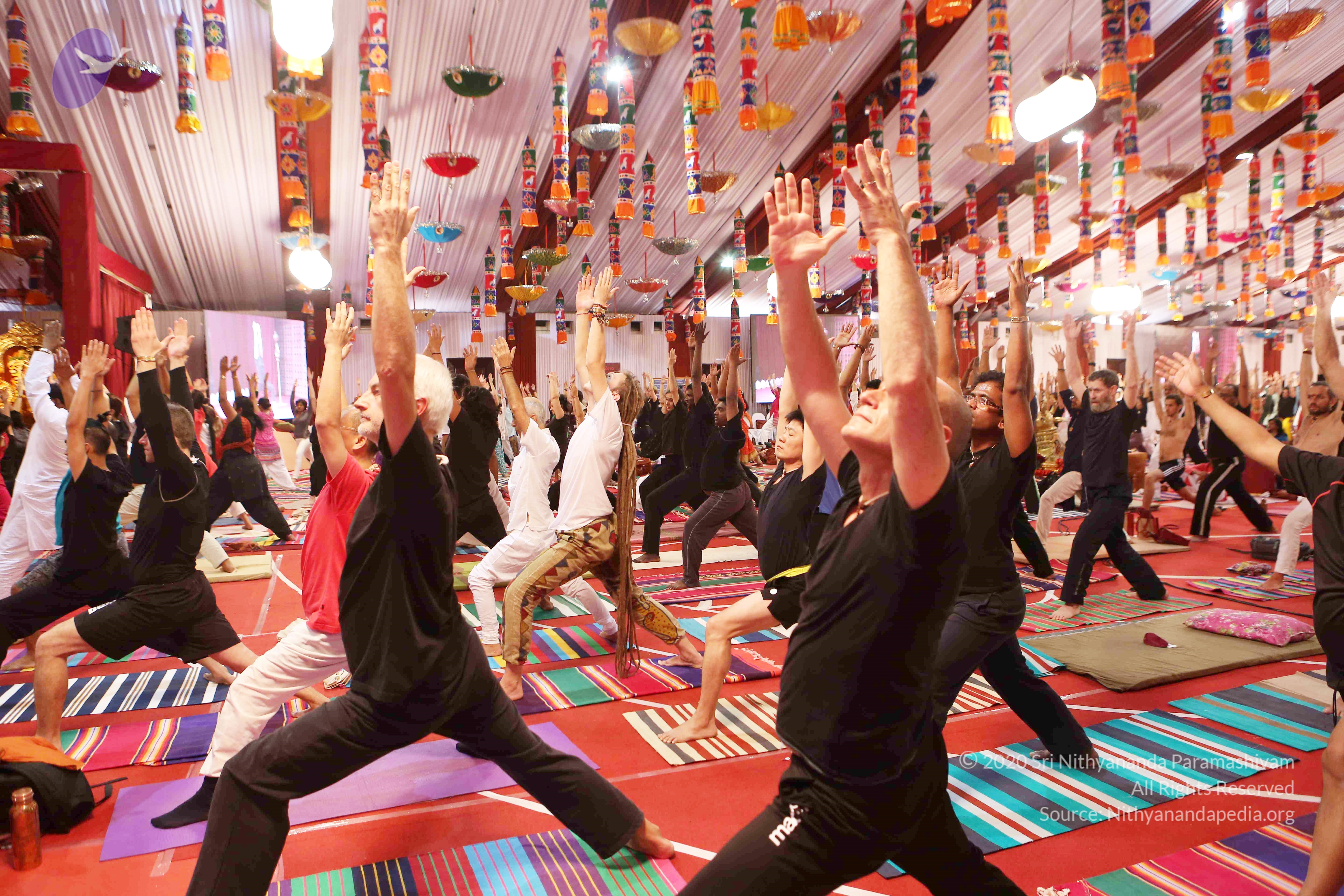 20161210_Photo_1138_G28A8384_CMP_WM