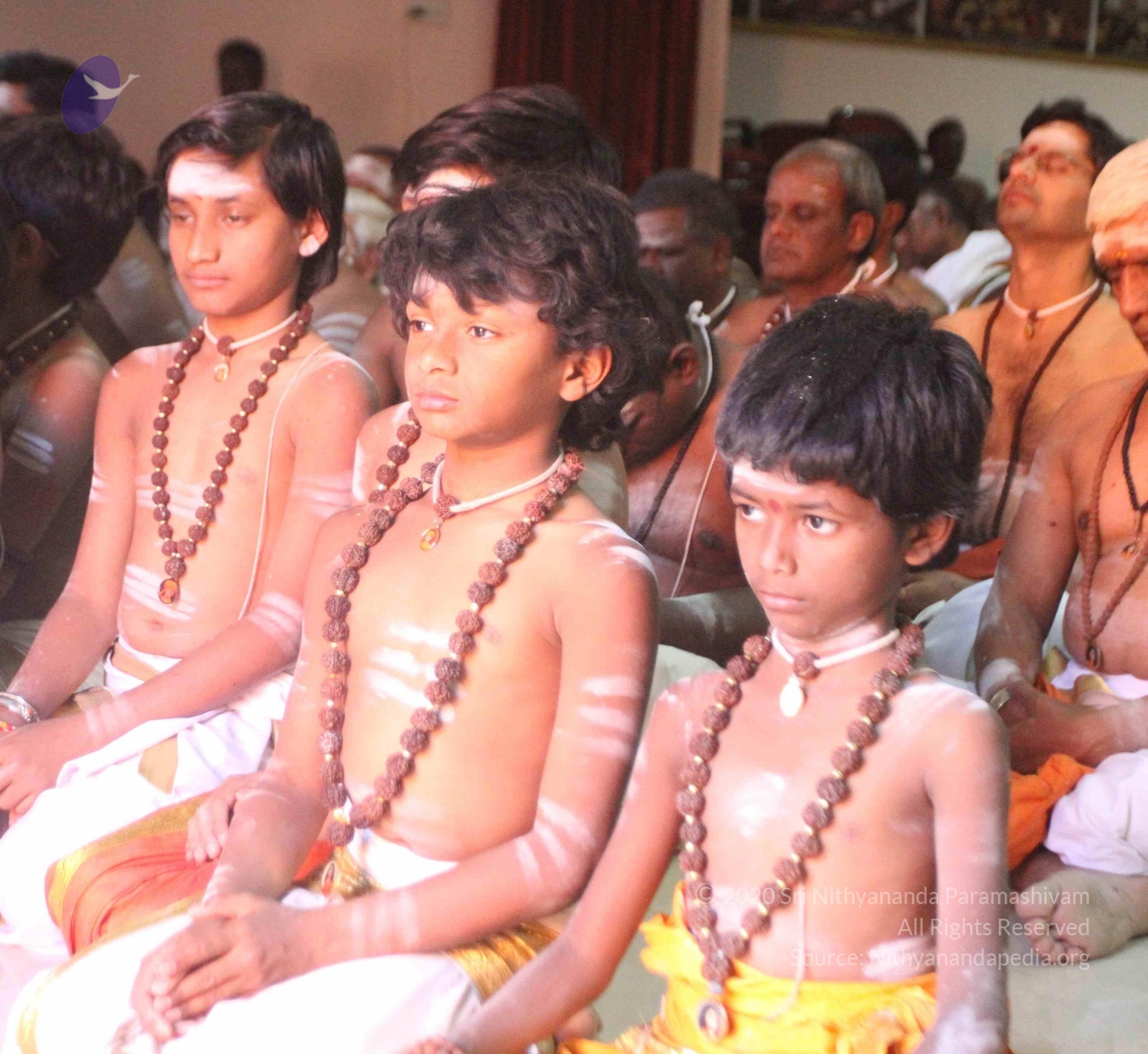 IMG_8996_CMP_WM done