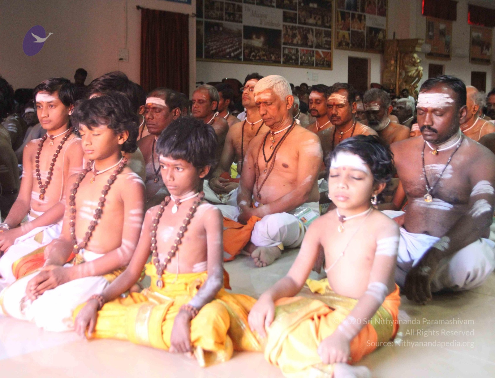 IMG_8998_CMP_WM done