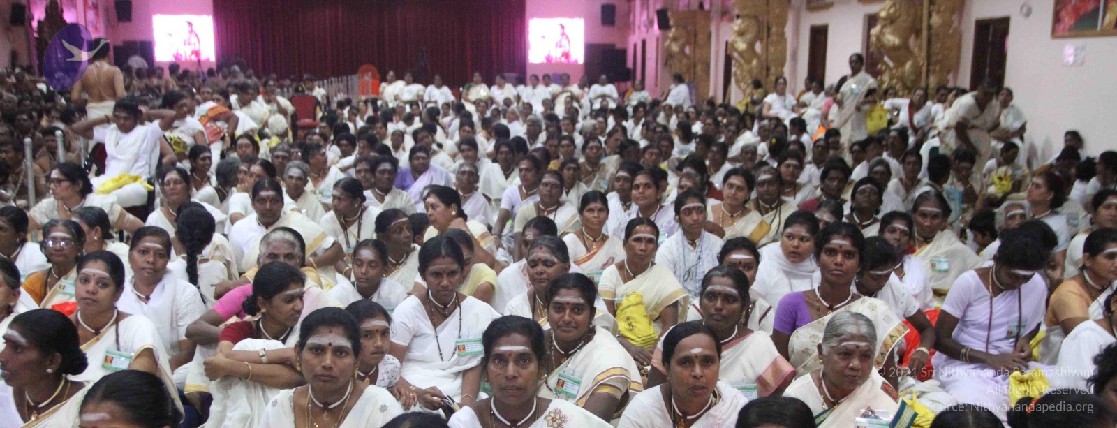 IMG_9024_CMP_WM done