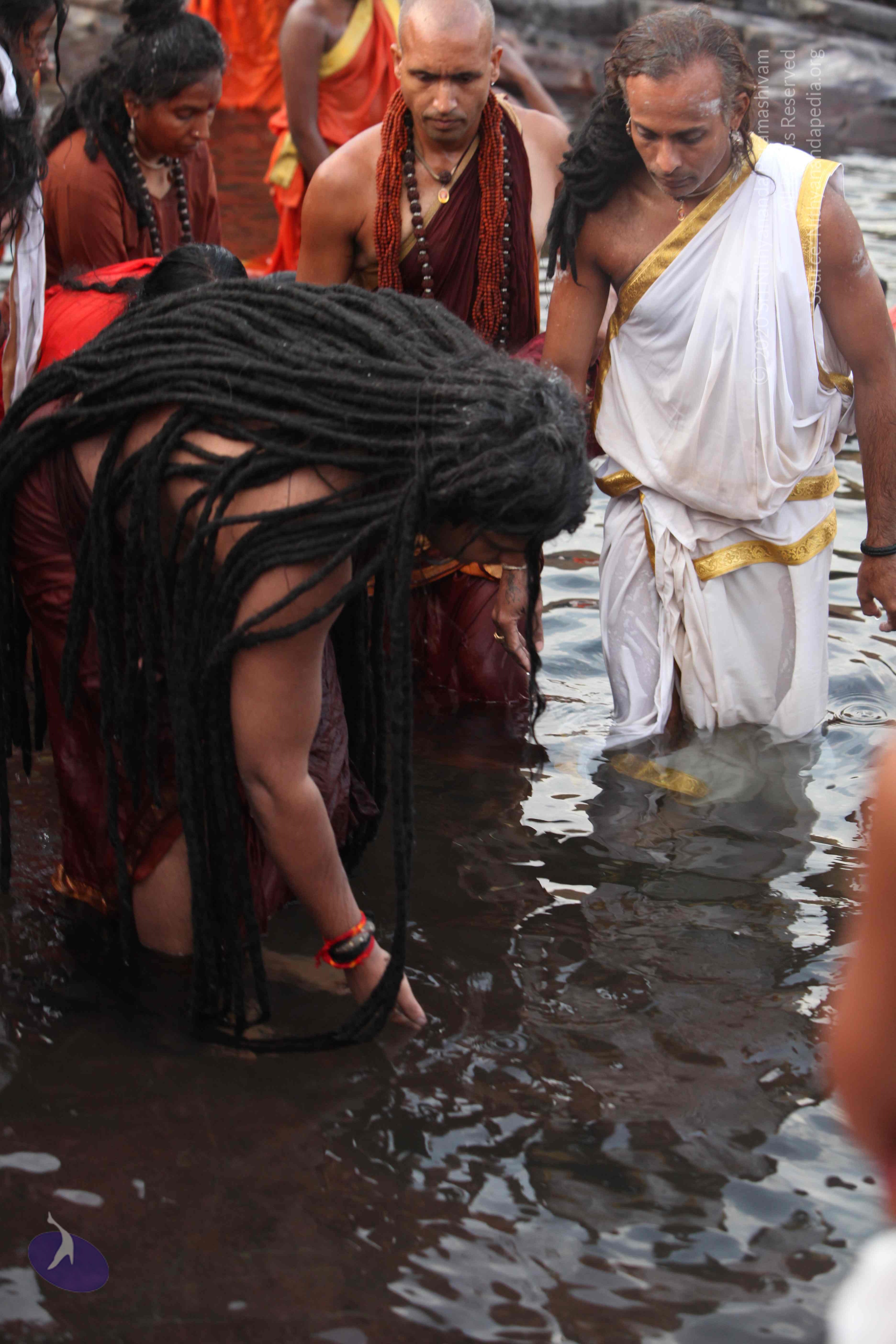 20160604_Photo_1002_IMG_1129_CMP_WM