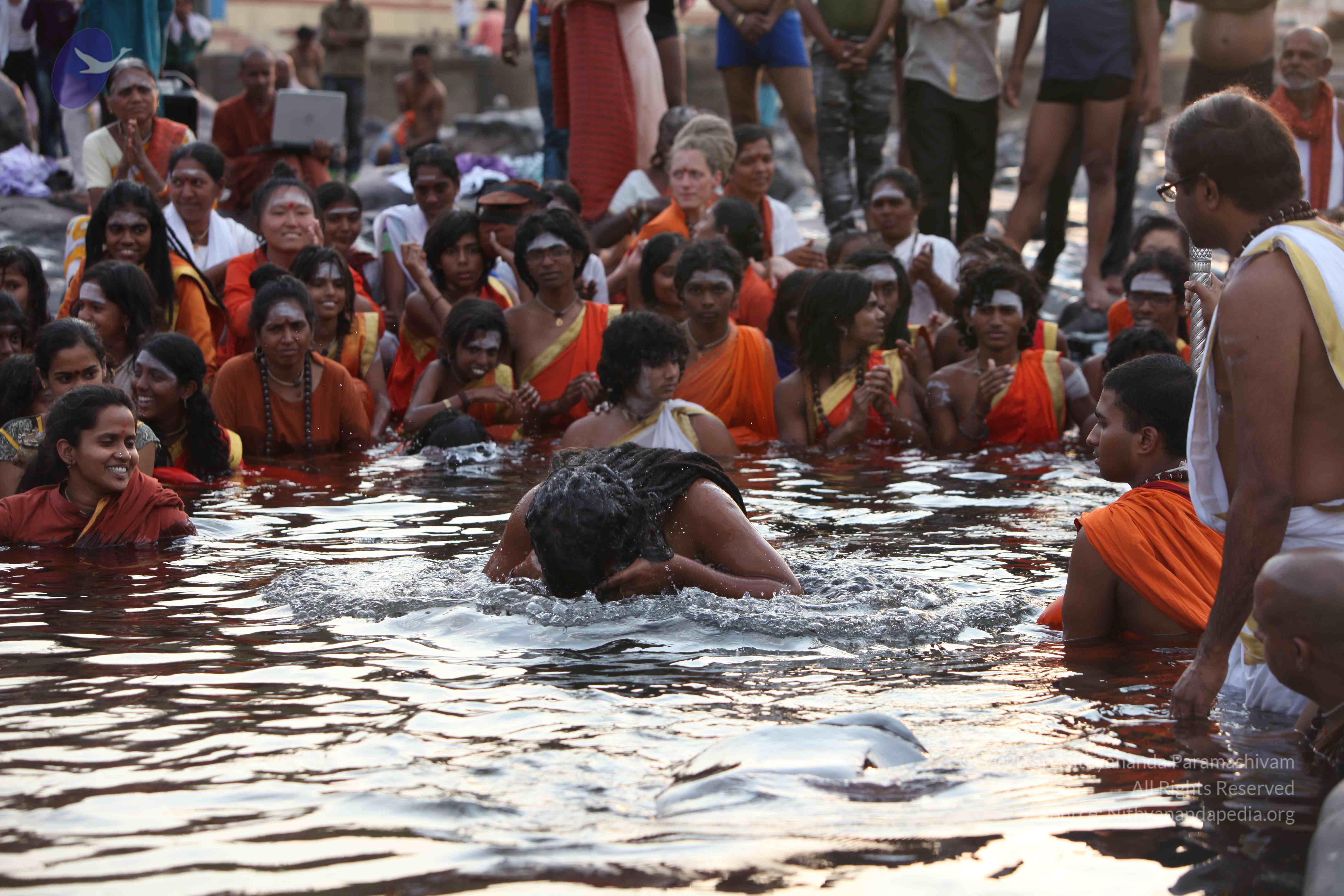 20160604_Photo_1005_IMG_1016_CMP_WM