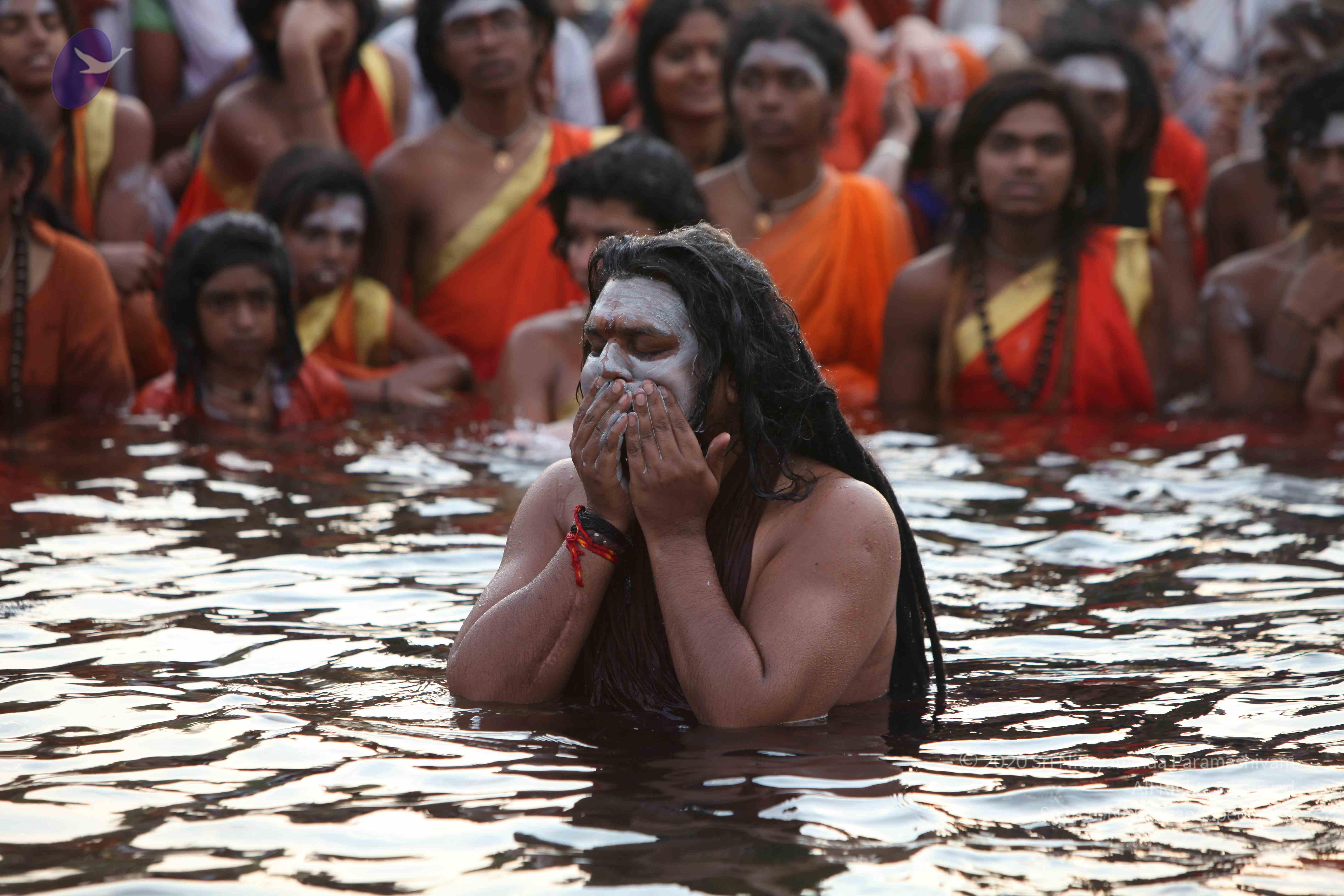 20160604_Photo_1030_IMG_1029_CMP_WM