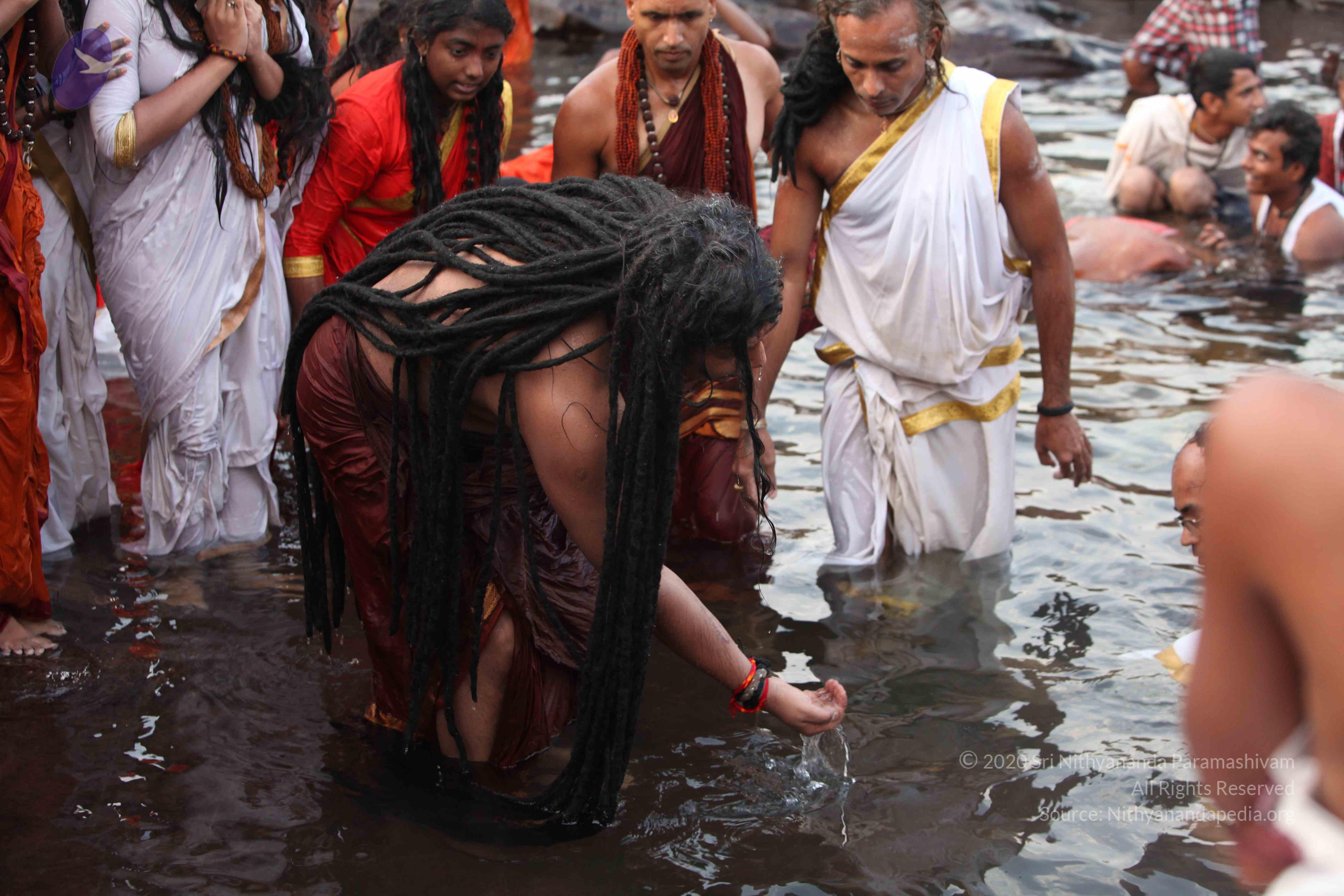 20160604_Photo_1034_IMG_1130_CMP_WM