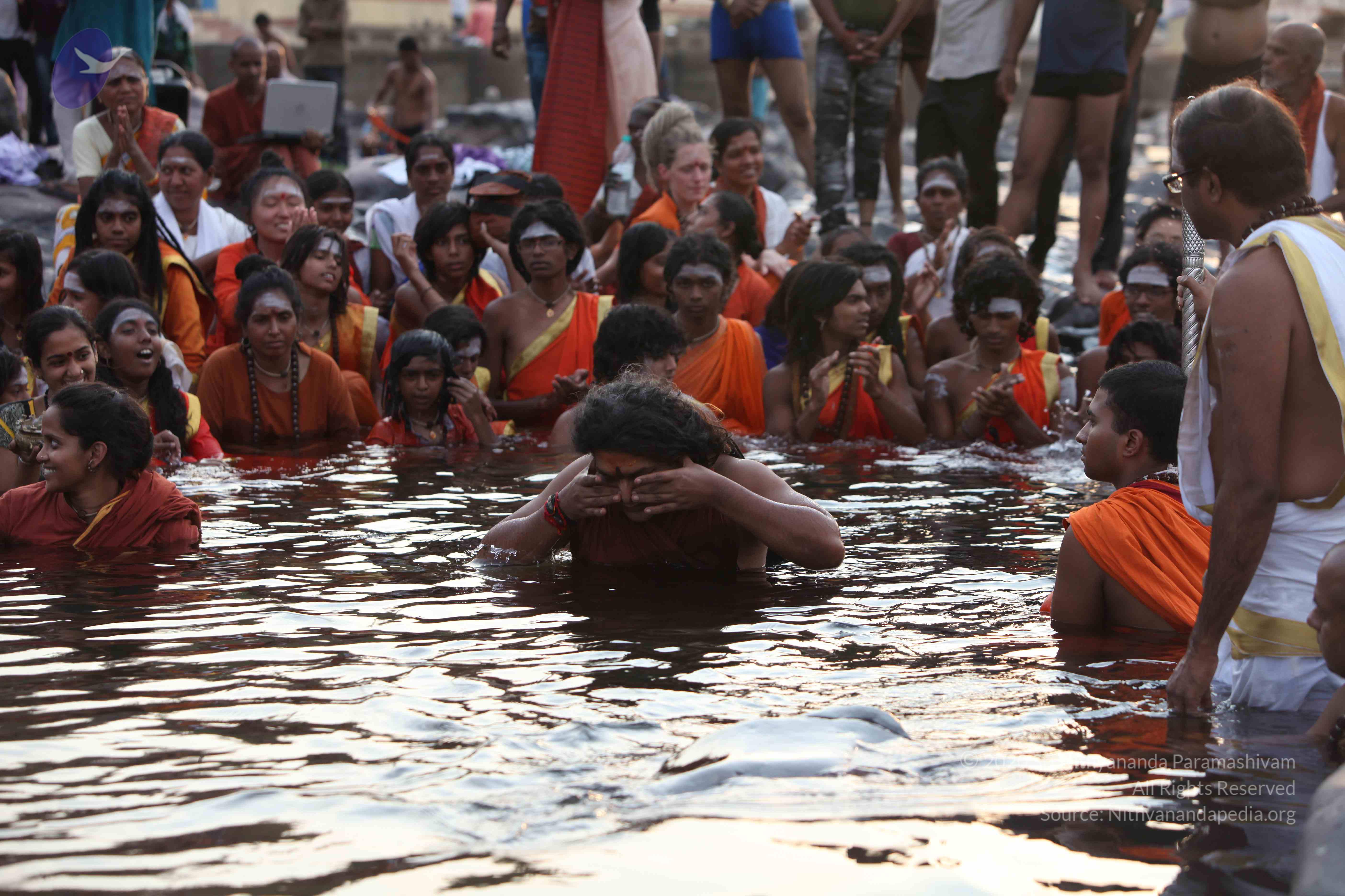 20160604_Photo_1039_IMG_1014_CMP_WM