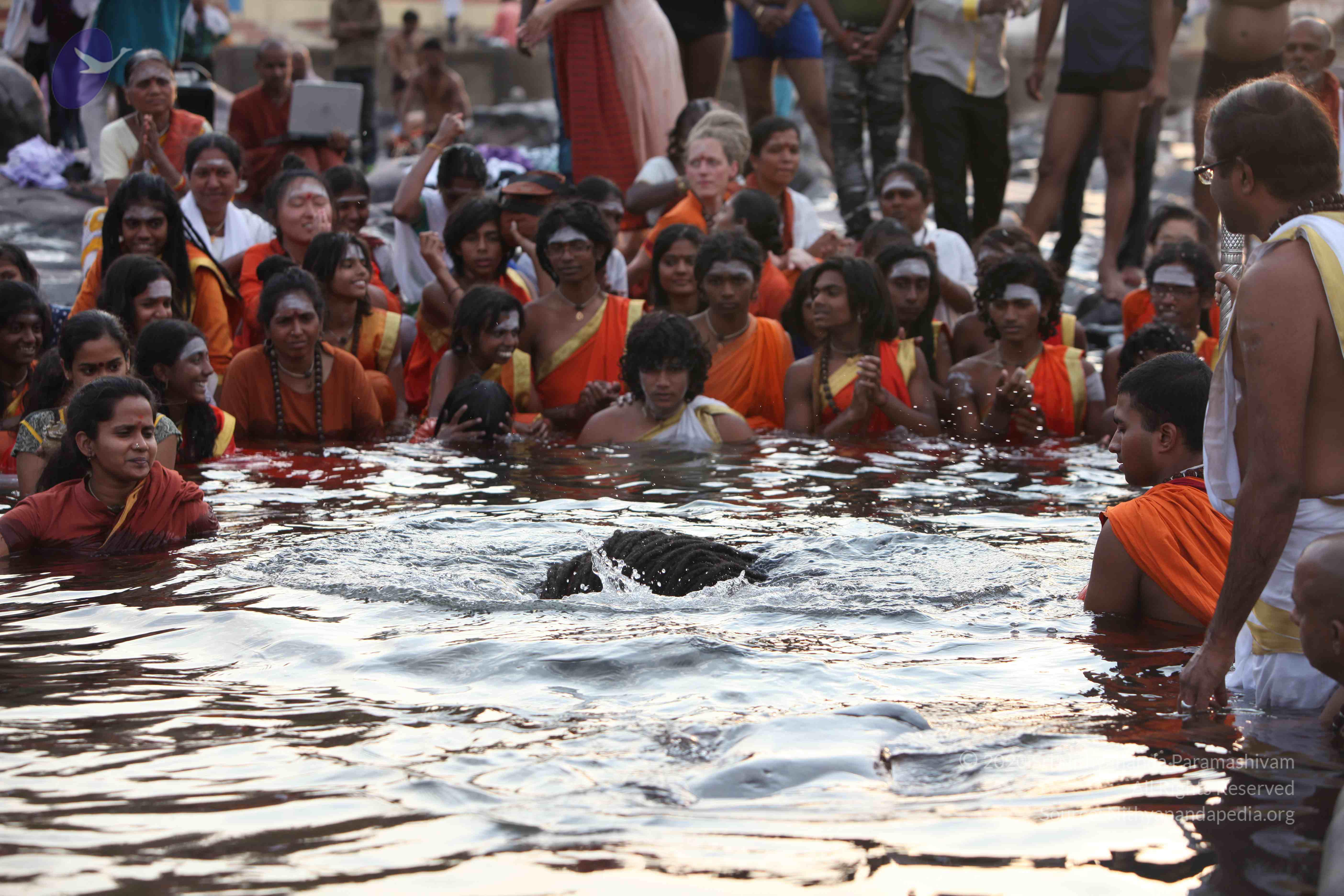 20160604_Photo_1048_IMG_1019_CMP_WM