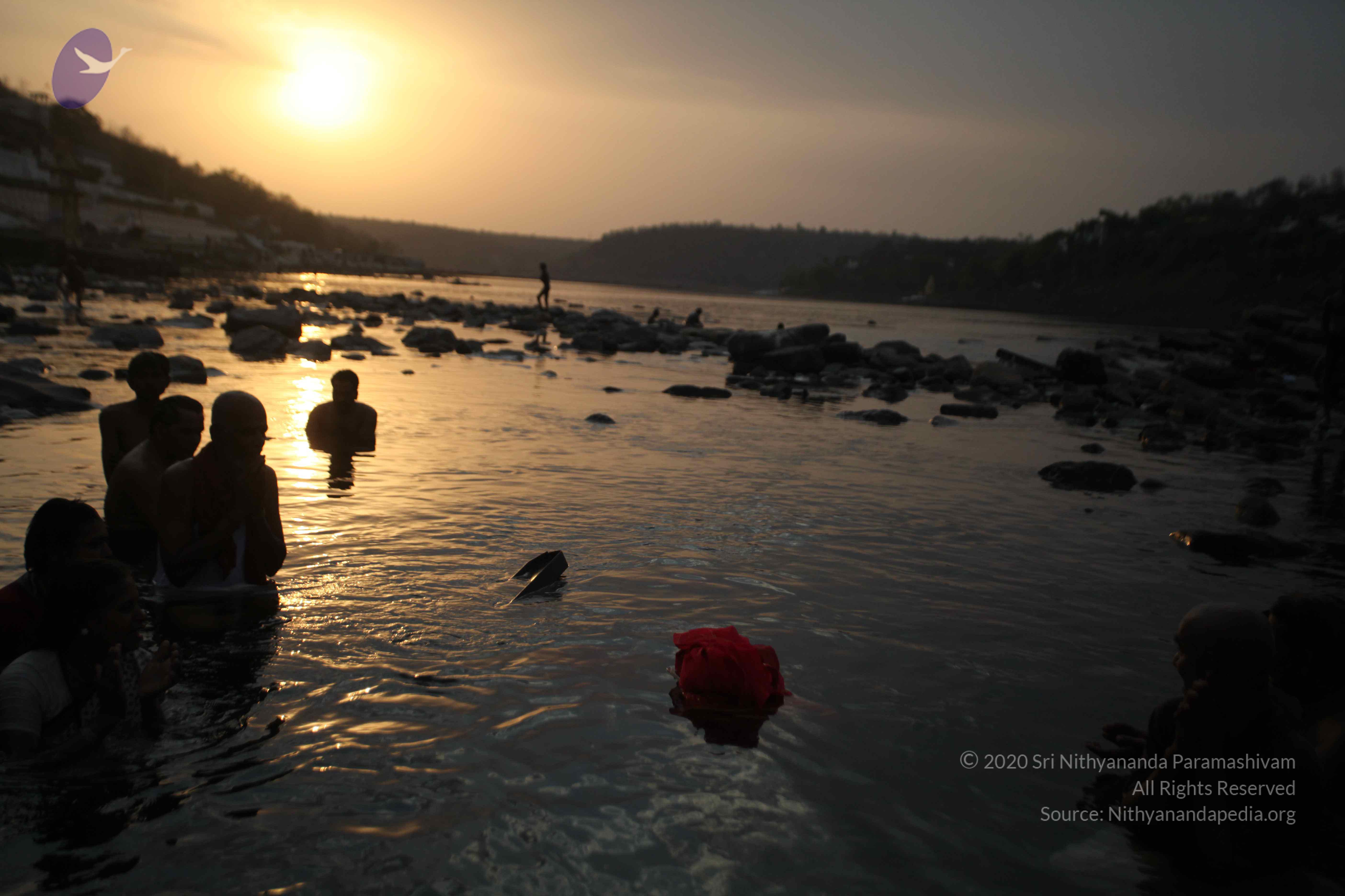 20160604_Photo_1049_IMG_1084_CMP_WM