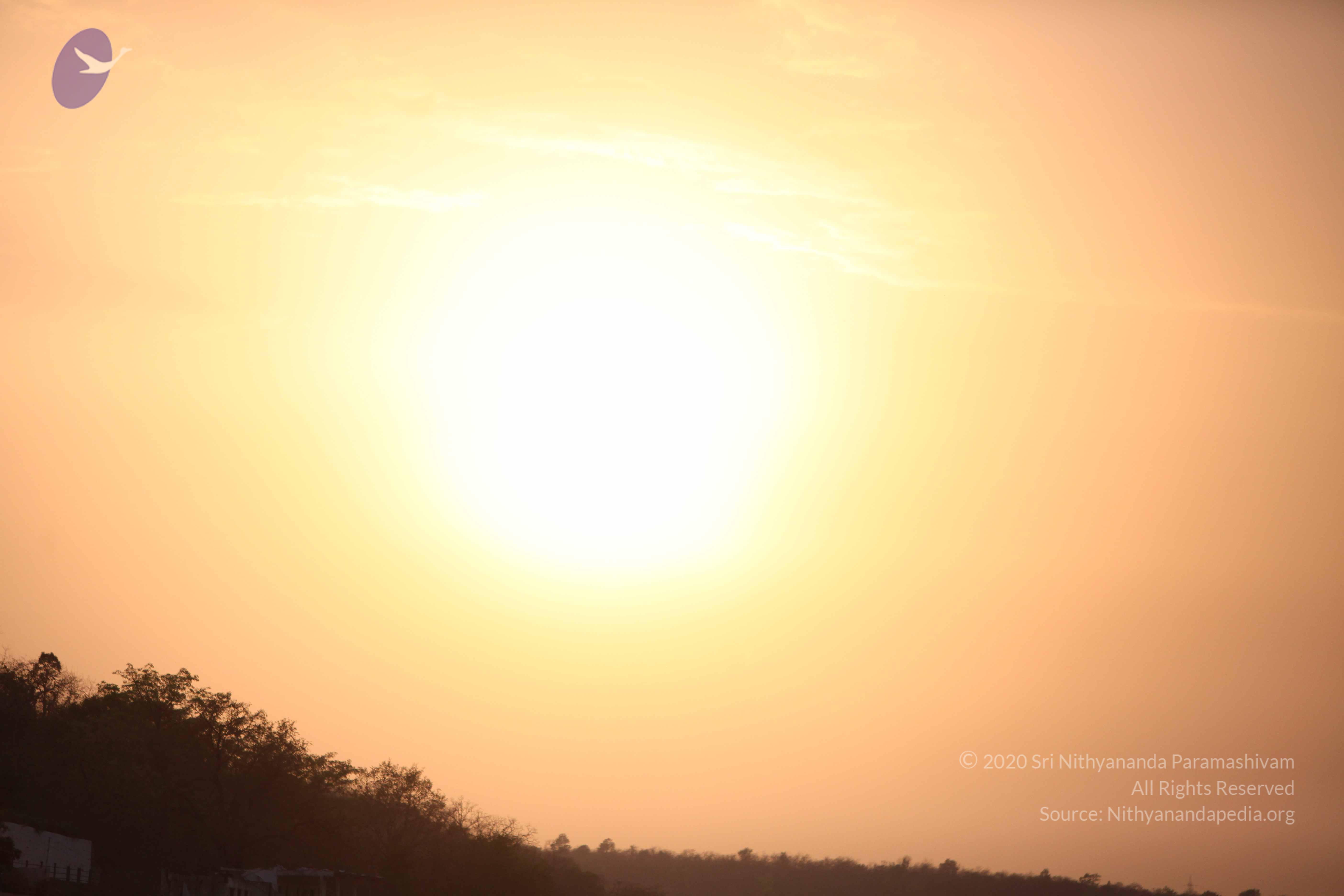 20160604_Photo_1084_IMG_1117_CMP_WM