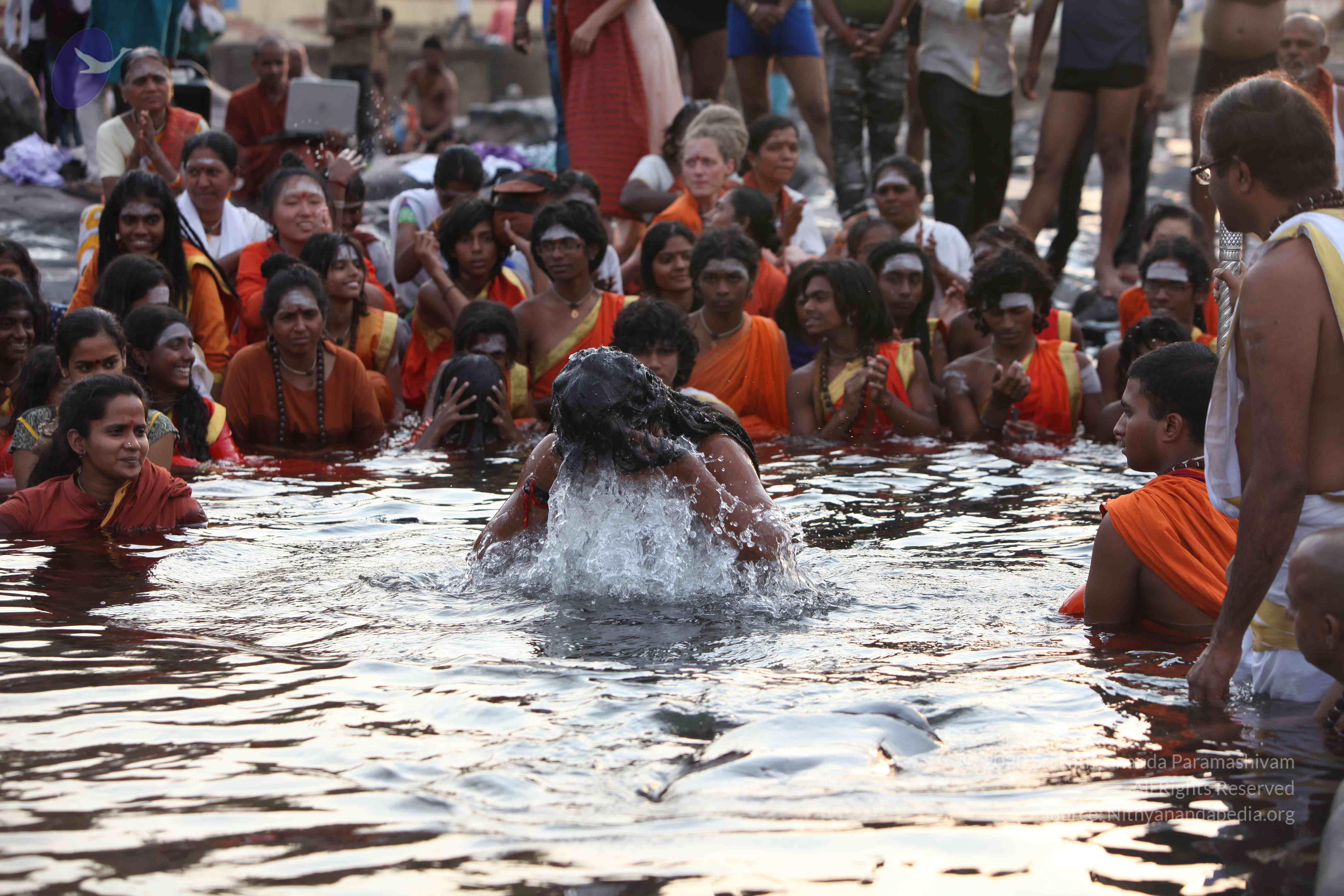 20160604_Photo_1101_IMG_1017_CMP_WM