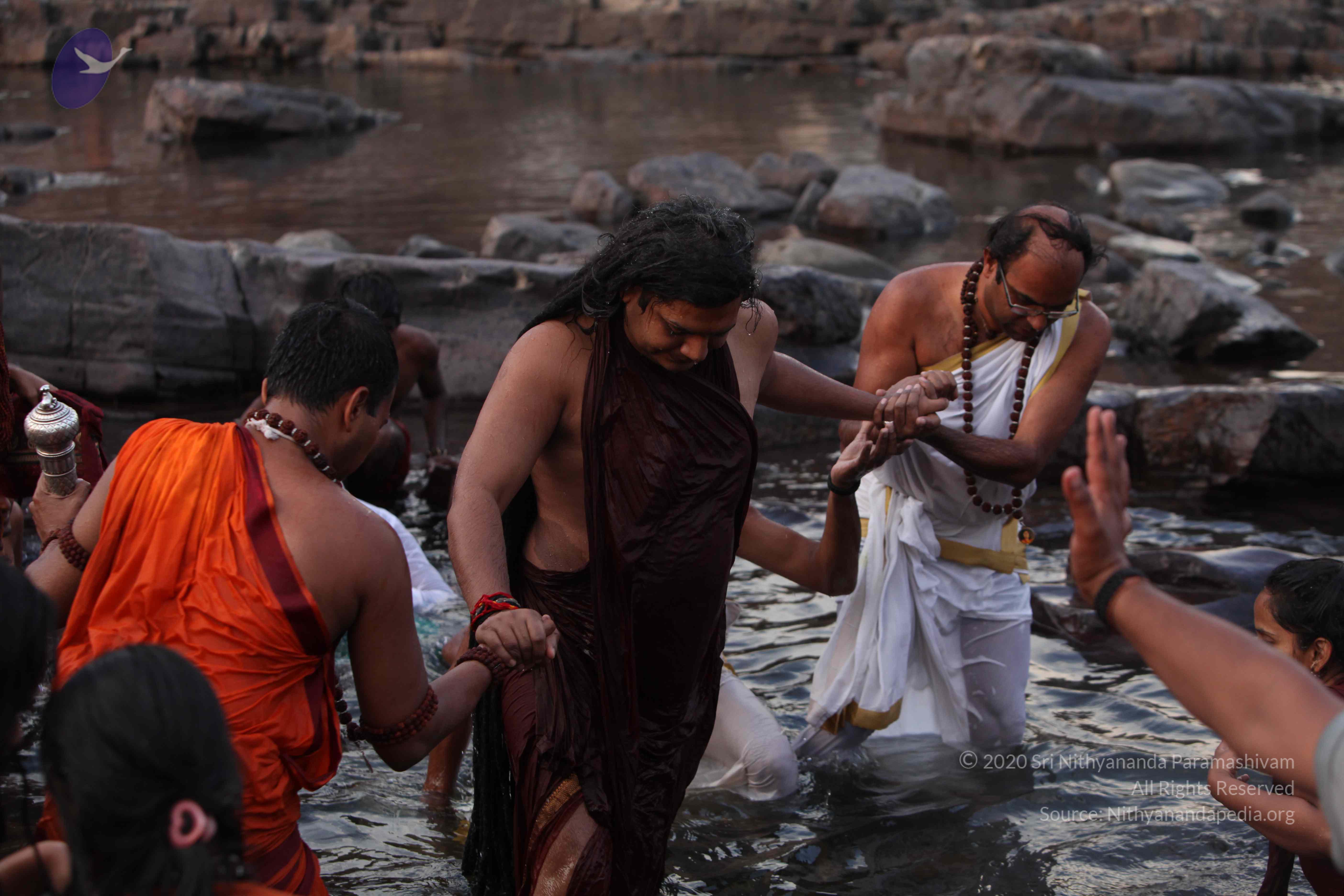 20160604_Photo_1111_IMG_1125_CMP_WM