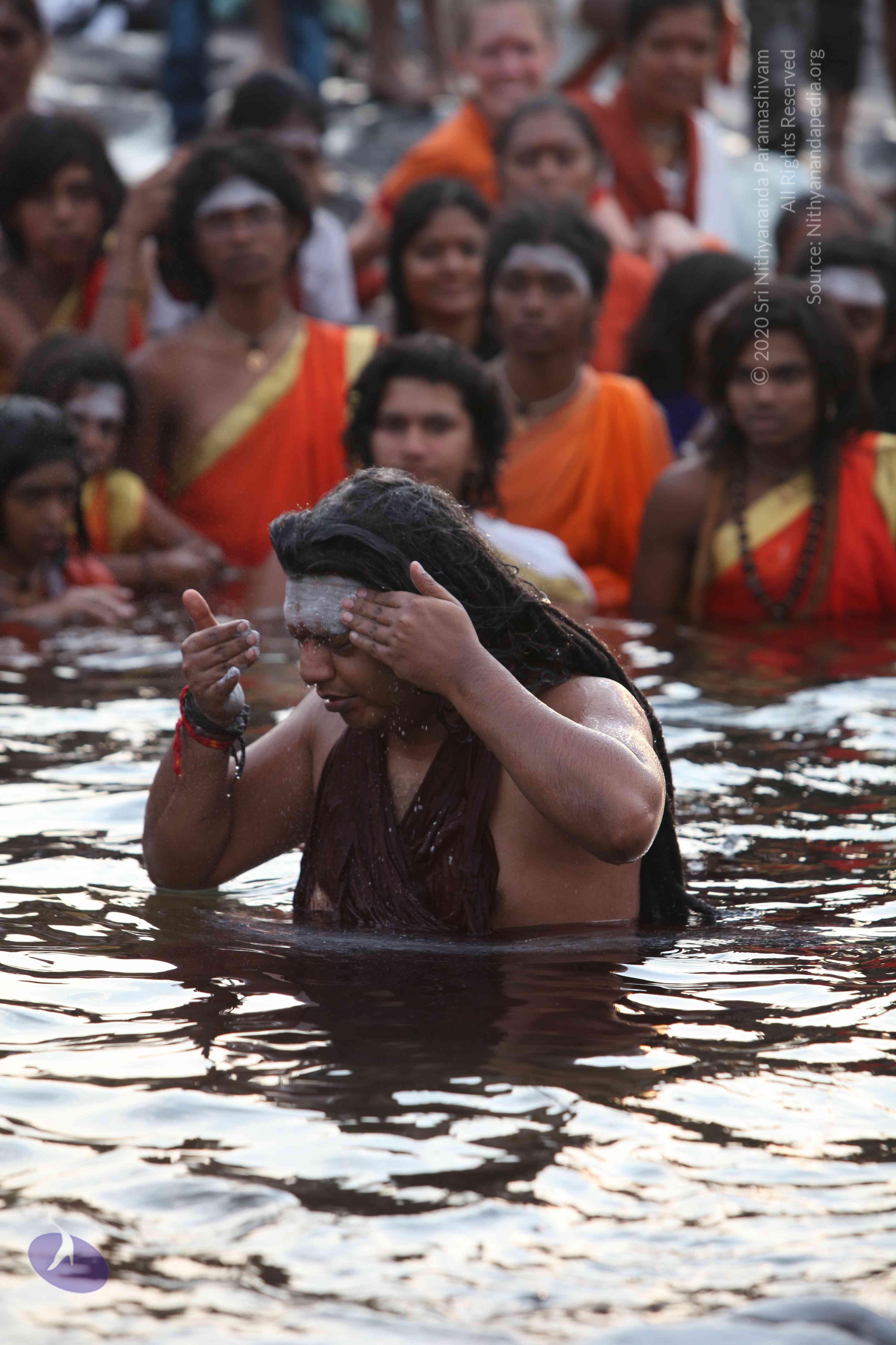 20160604_Photo_1131_IMG_1027_CMP_WM