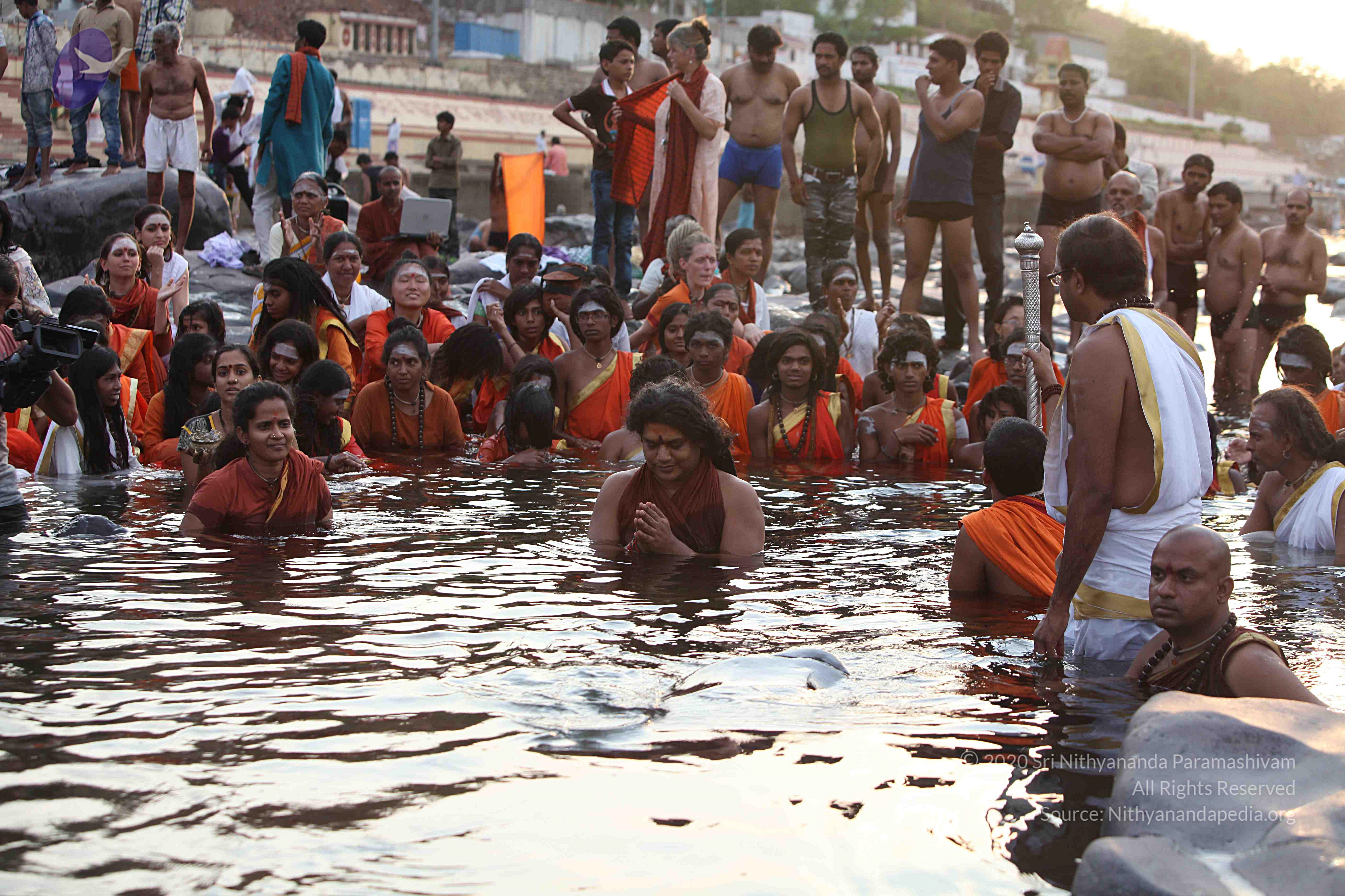 20160604_Photo_1132_IMG_1010_CMP_WM