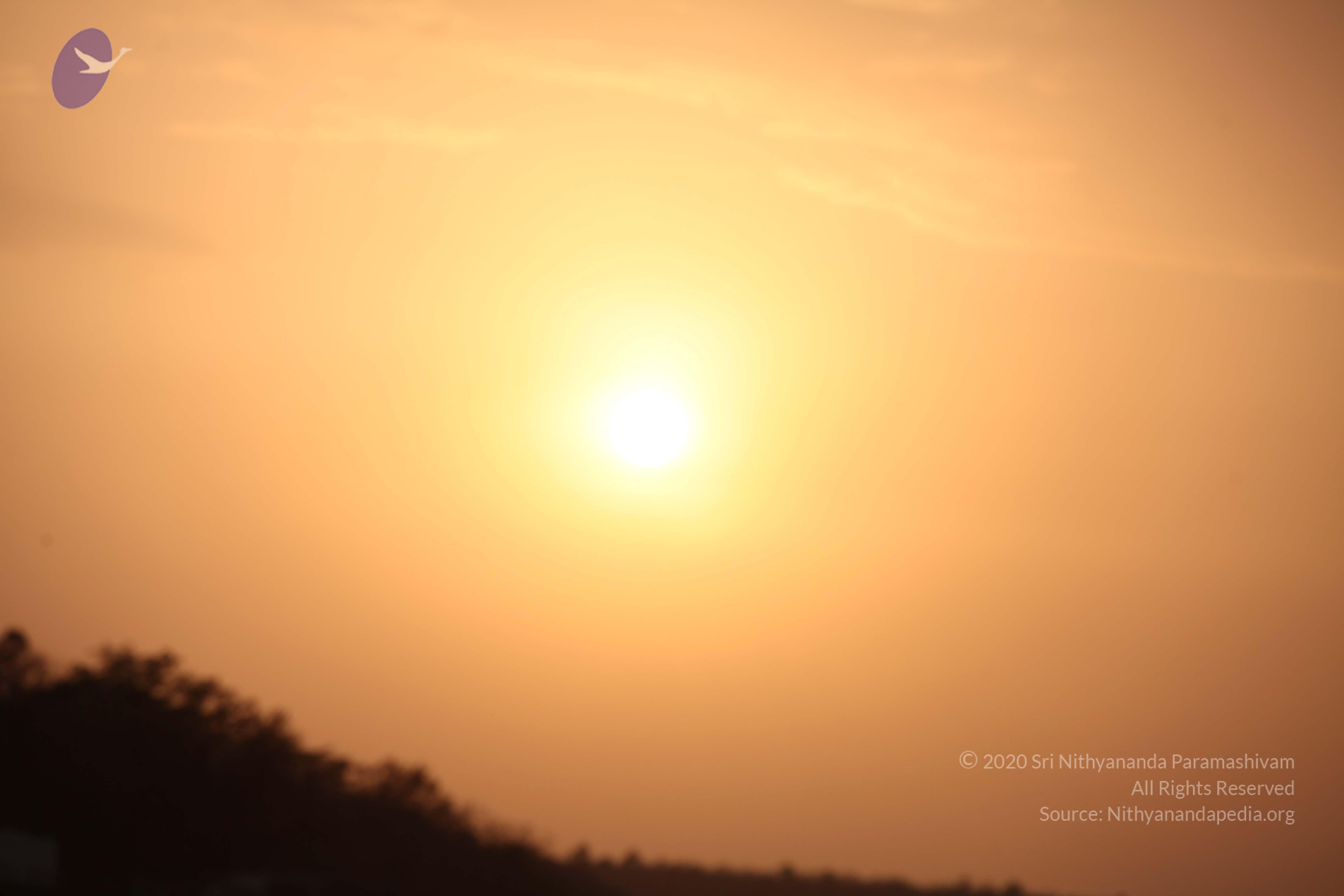 20160604_Photo_1136_IMG_1118_CMP_WM