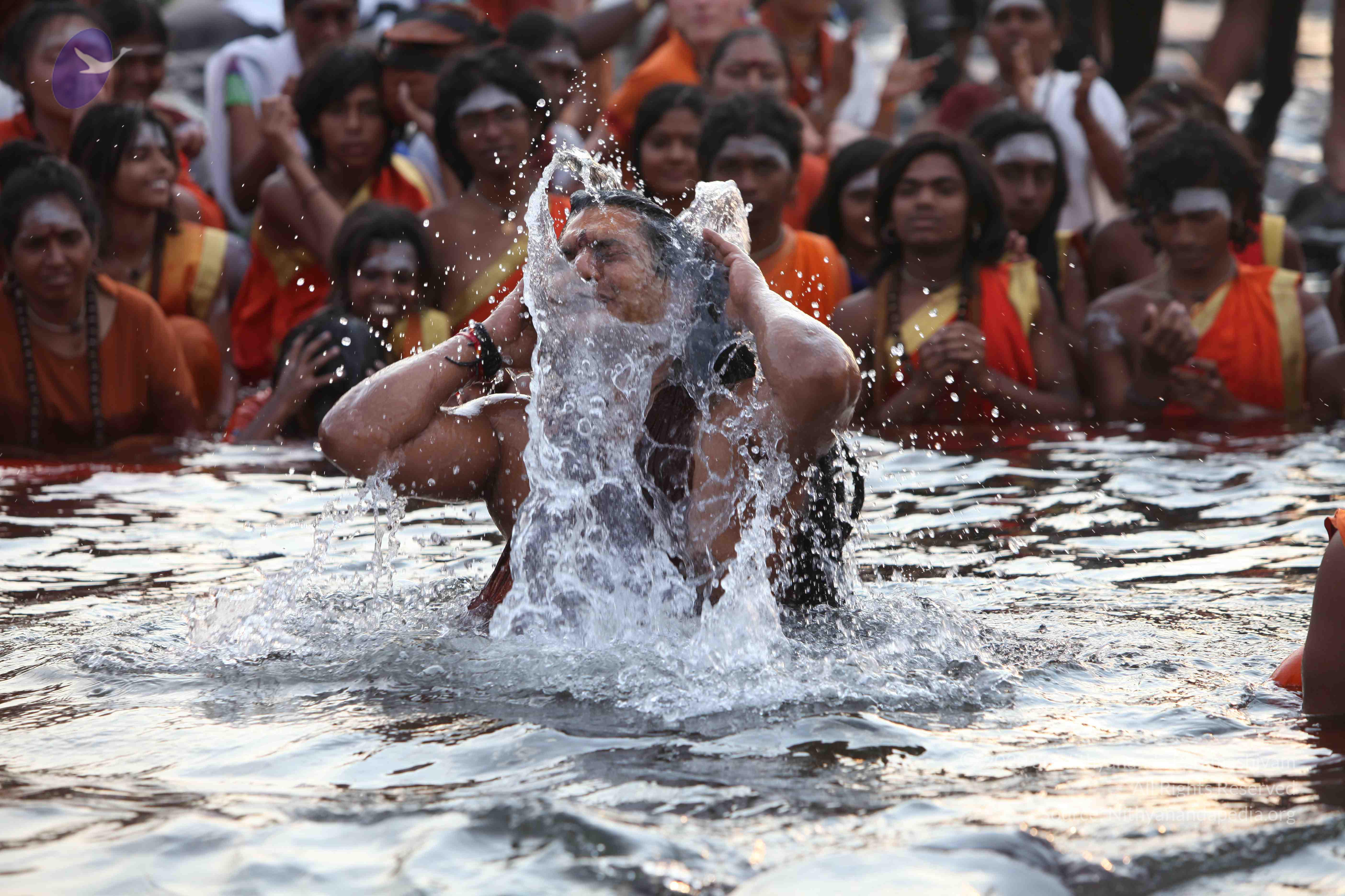 20160604_Photo_1139_IMG_1022_CMP_WM