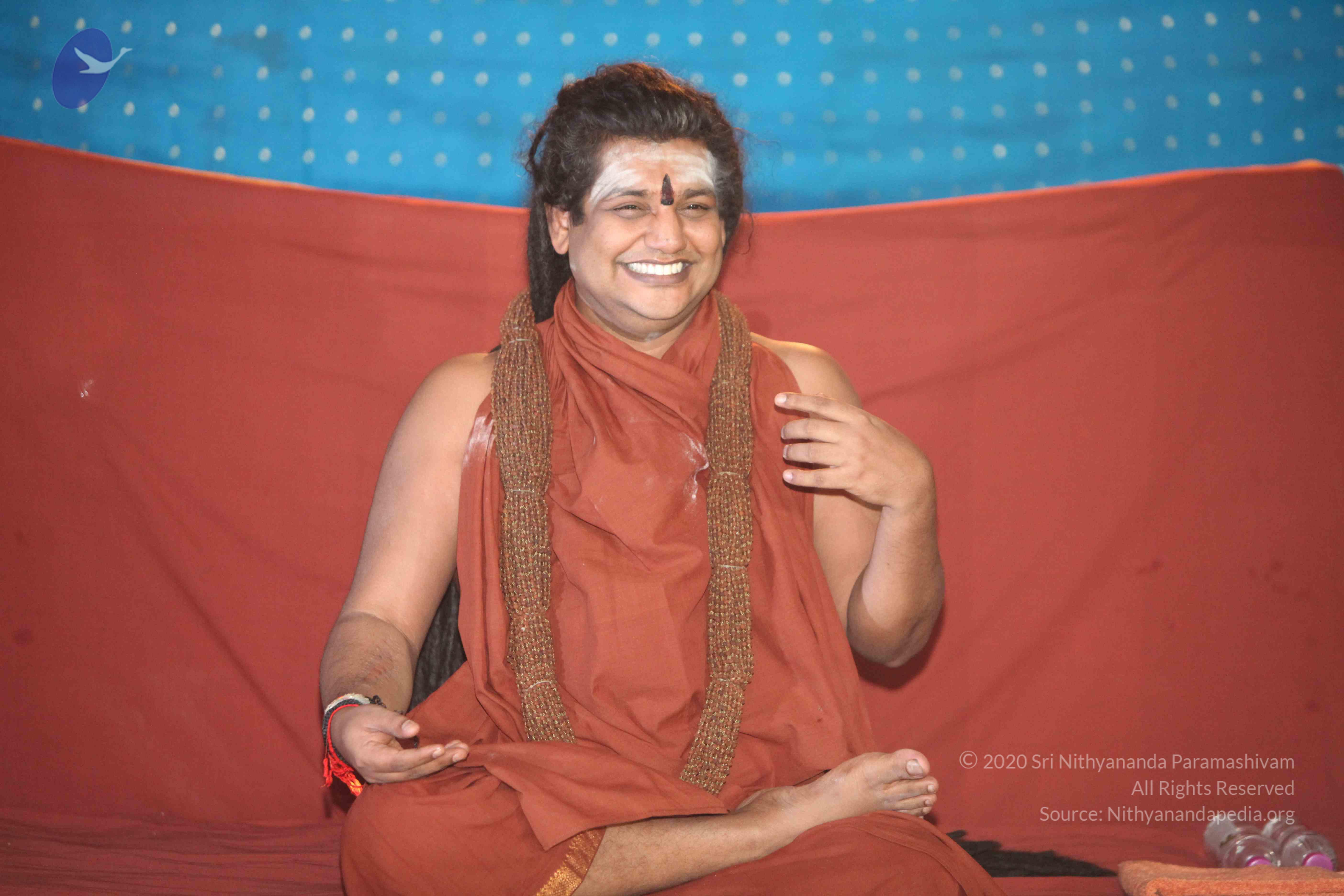 20160604_Photo_1133_IMG_1335_CMP_WM